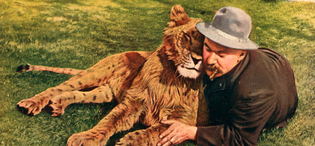 Screen Shot 2022-07-20 at 9.12.43 PM.png