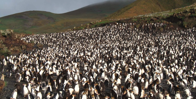 Screen Shot 2022-07-20 at 9.33.52 PM.png