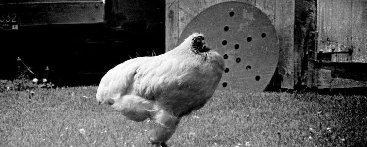 Screen Shot 2022-07-20 at 9.45.09 PM.png