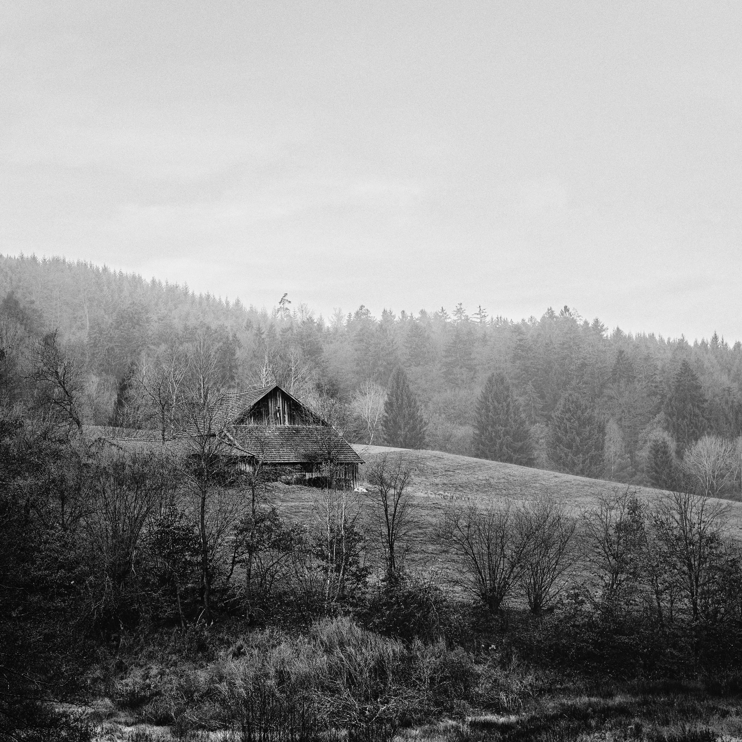 CF037674a_sharped.jpg