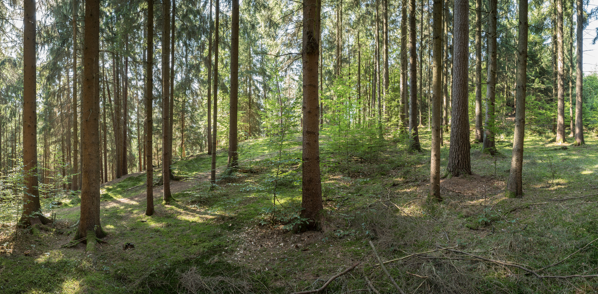 Das_besondere_Holz-018.jpg