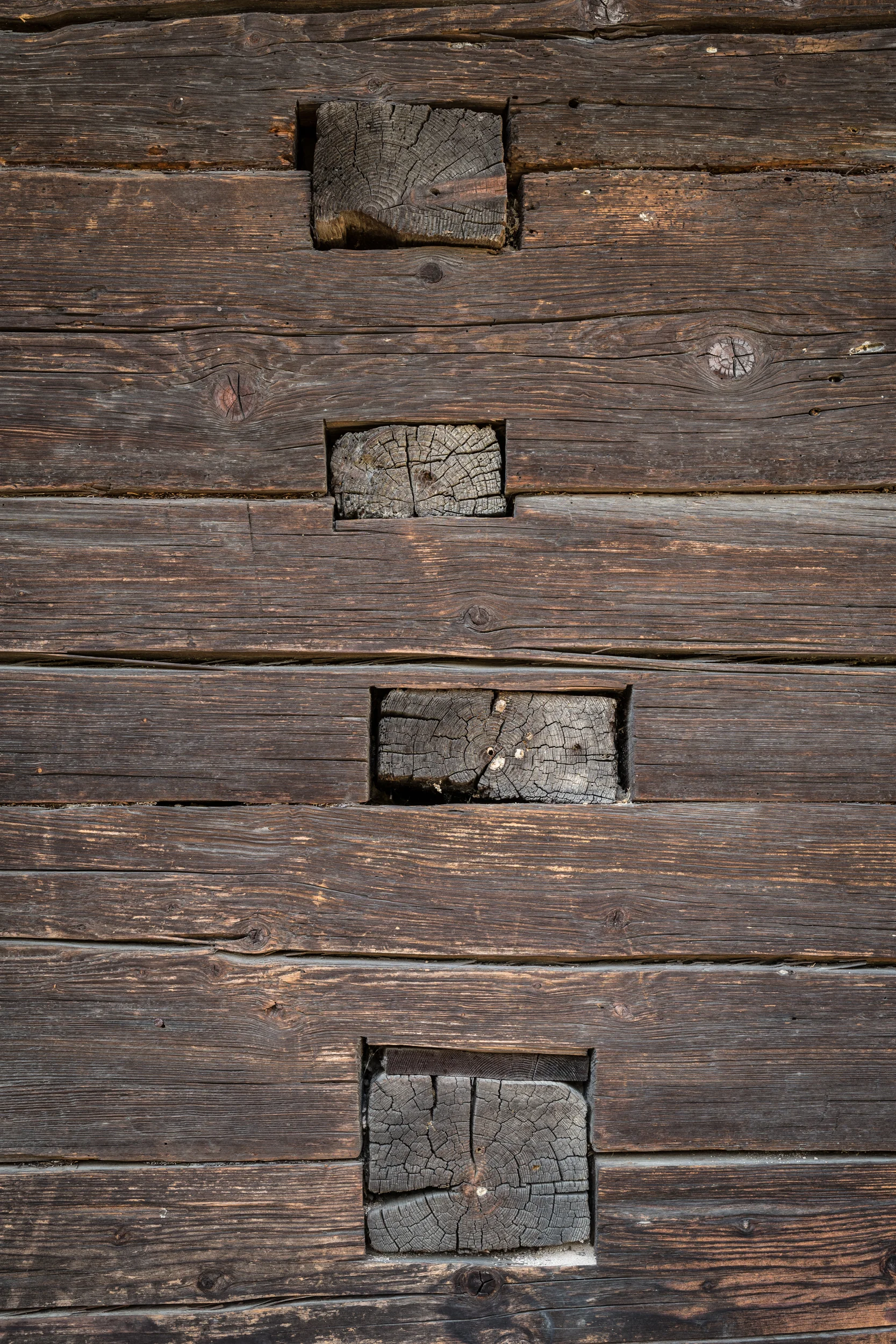 Das_besondere_Holz-023.jpg