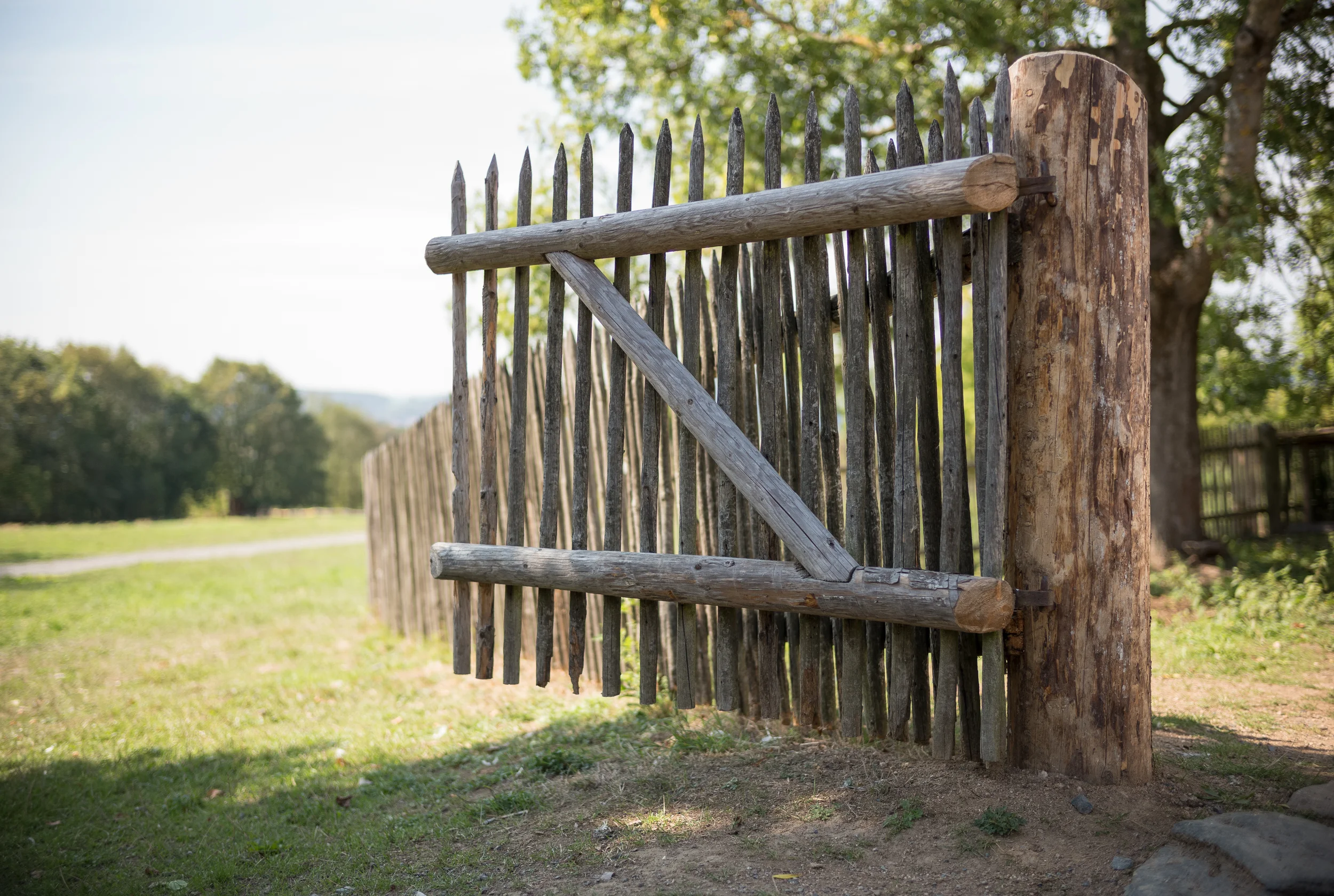 Das_besondere_Holz-028.jpg