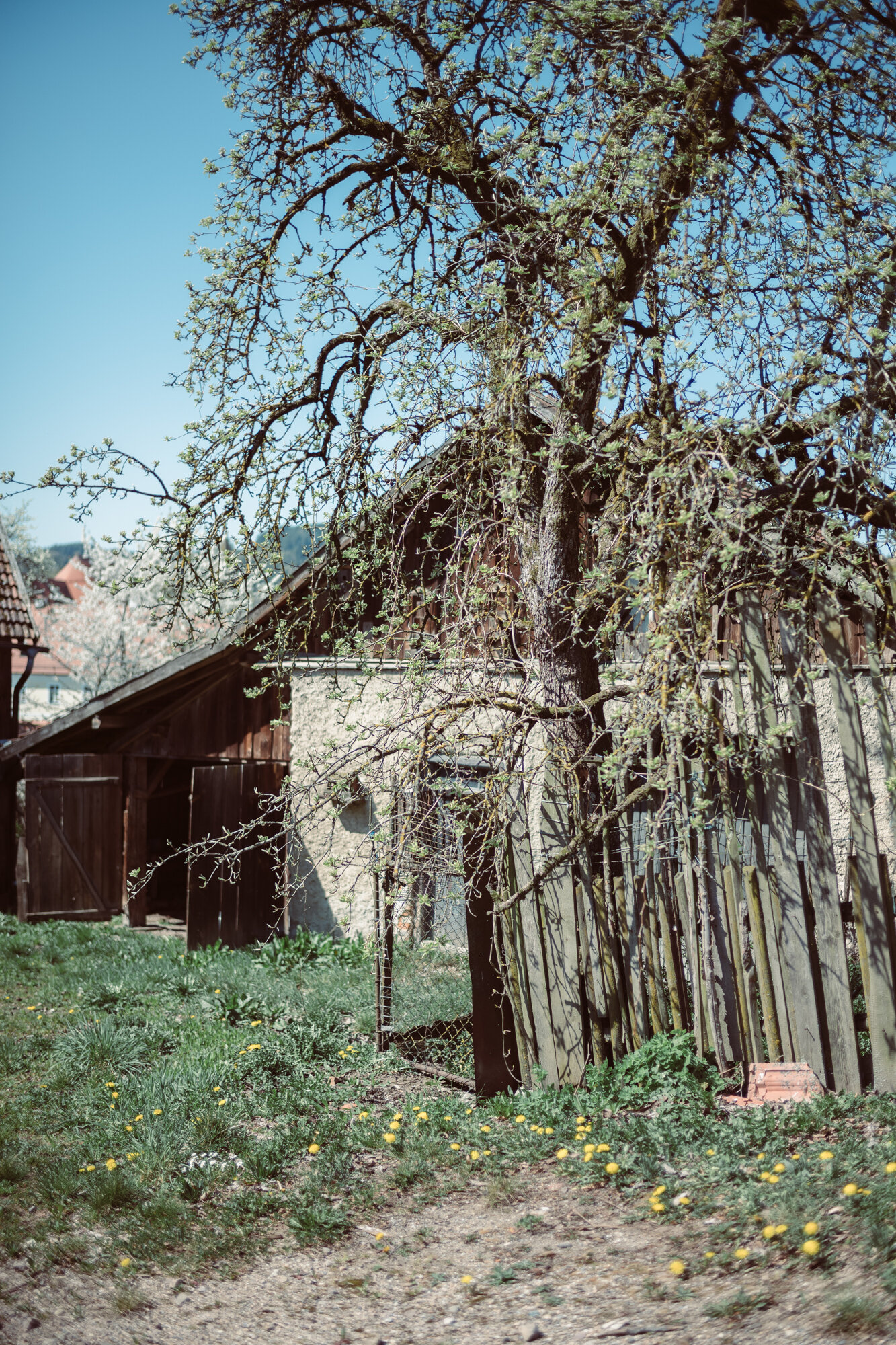 L1000055.jpg