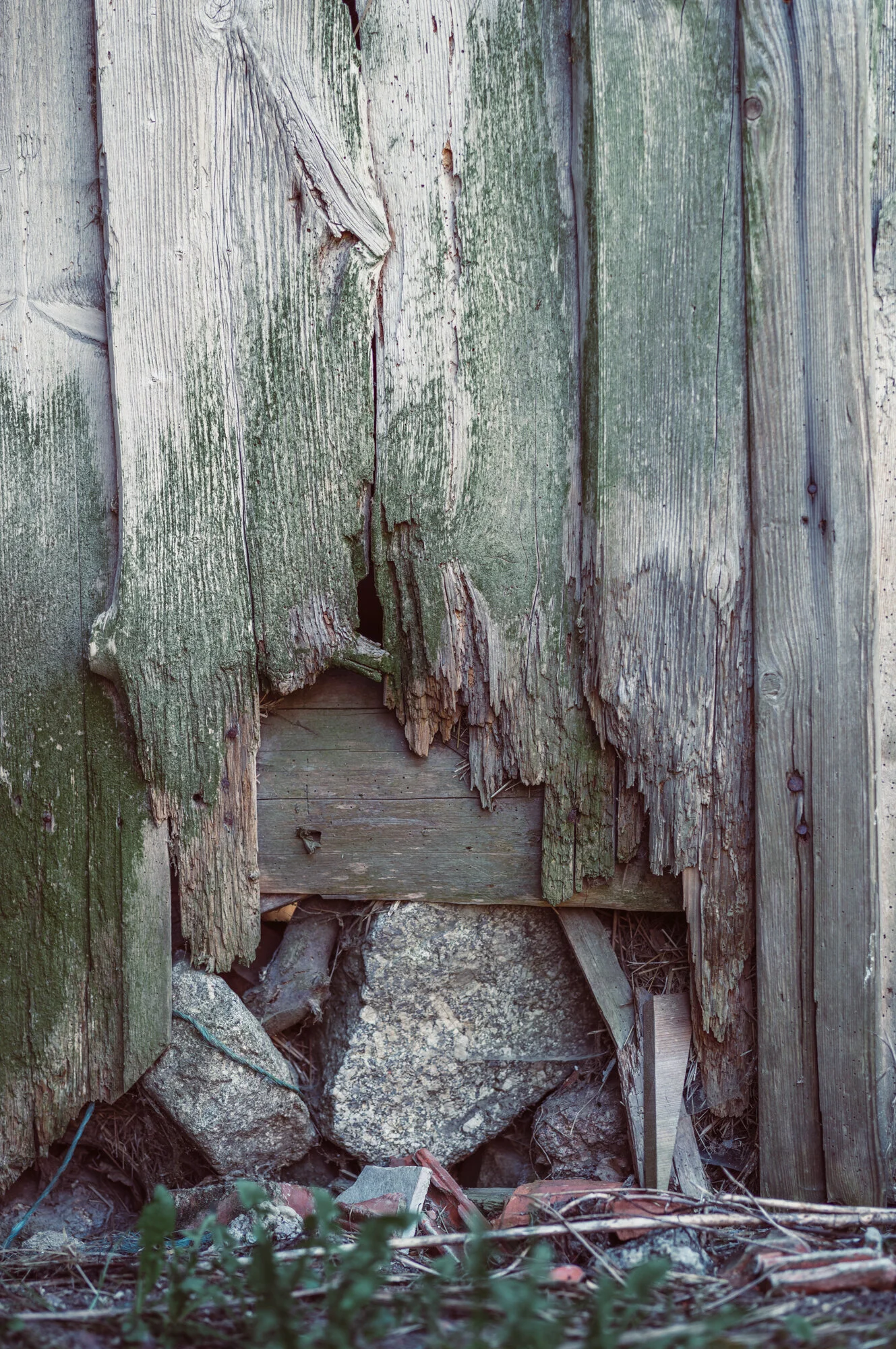 L1000631.jpg