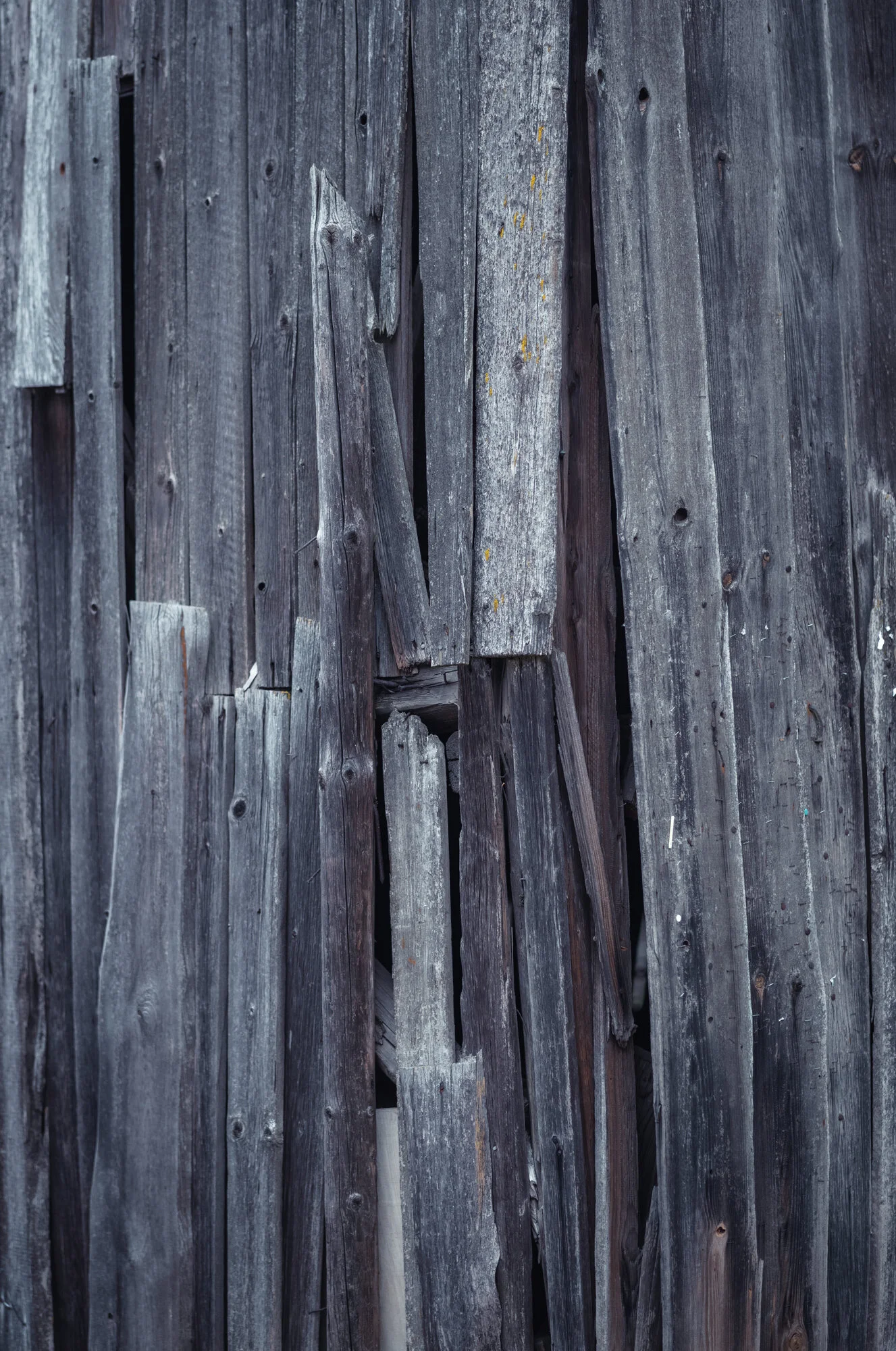 L1070855.jpg