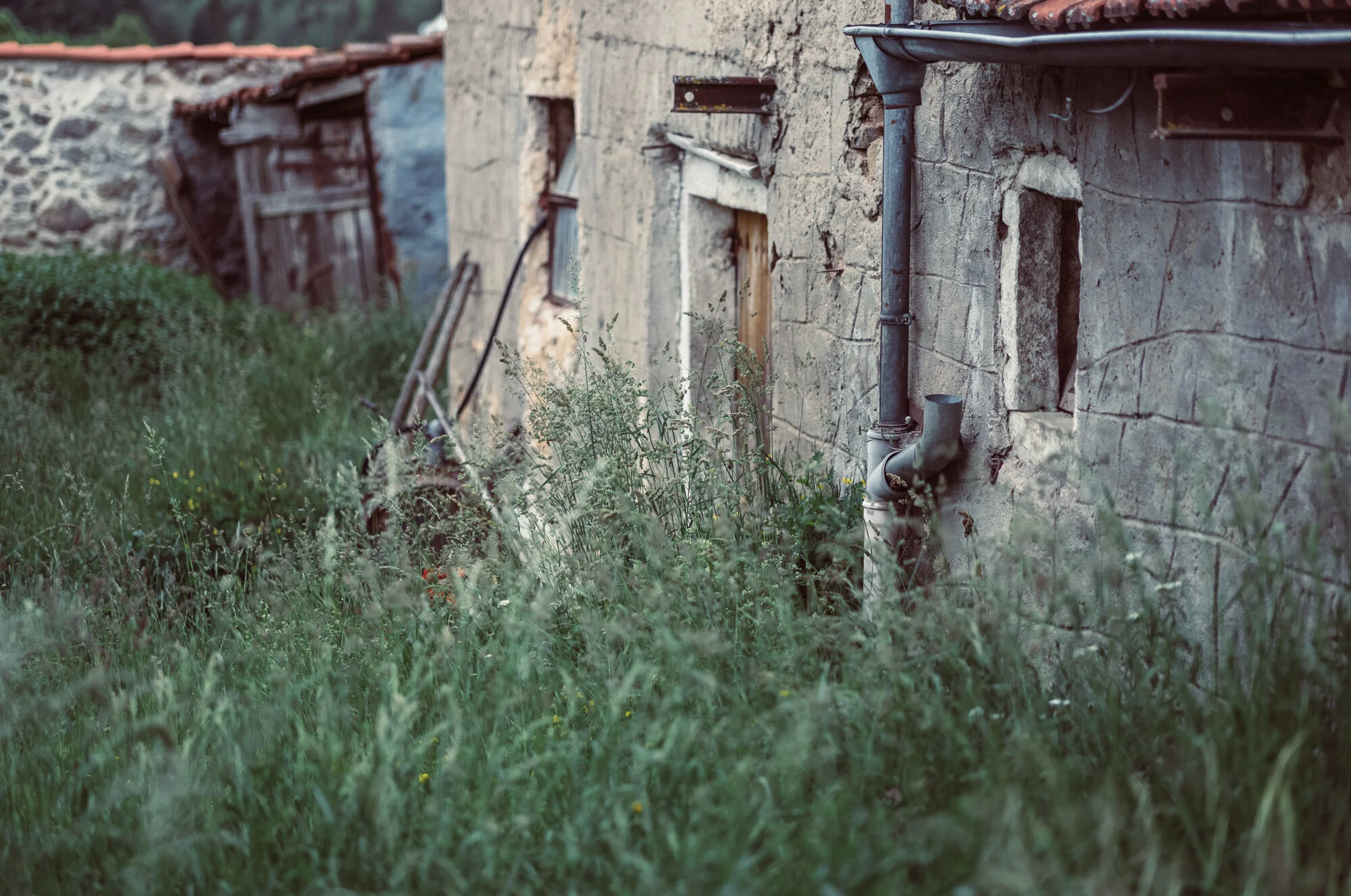 L1070864.jpg