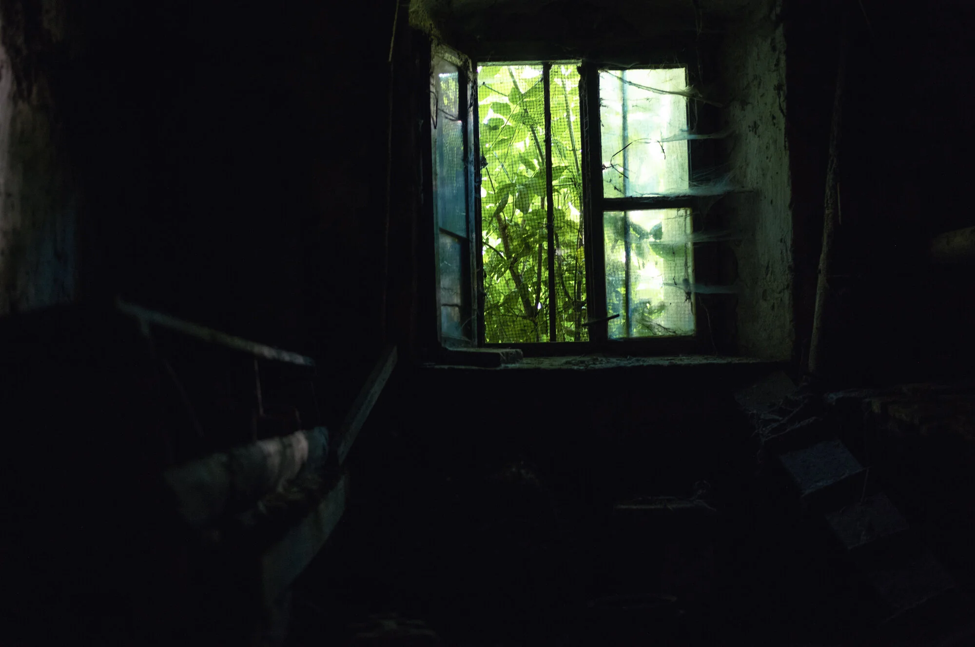 L1071199.jpg