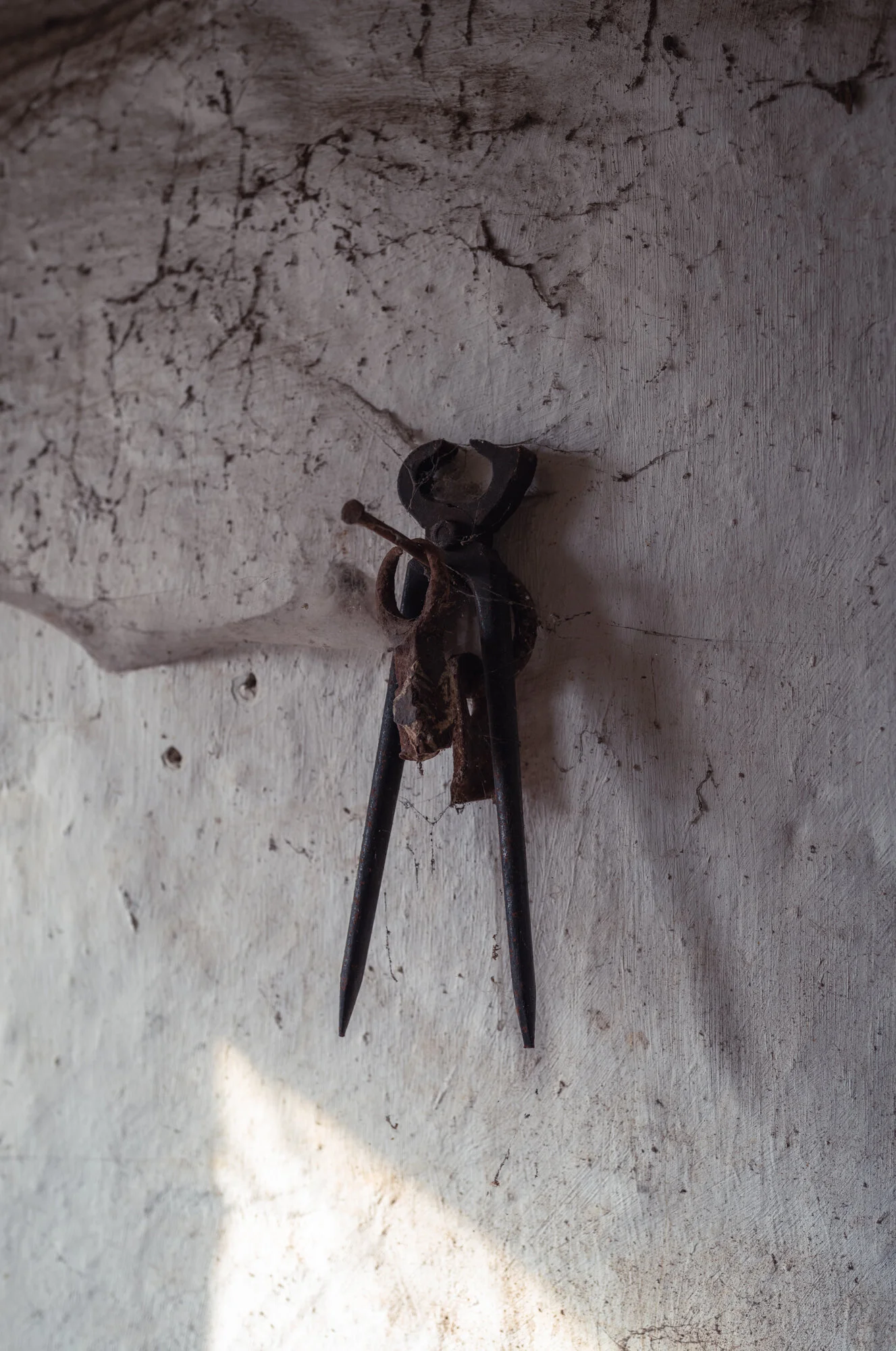L1071227.jpg