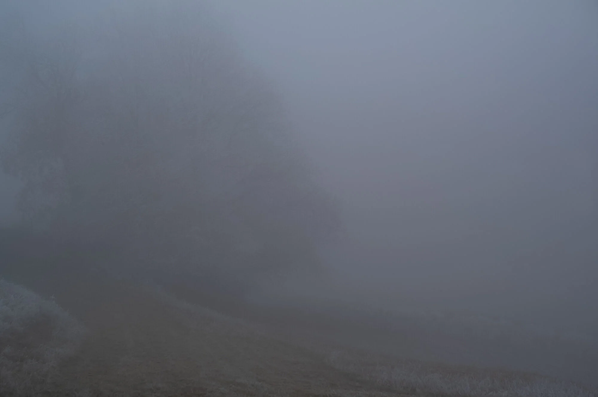 L1072507.jpg
