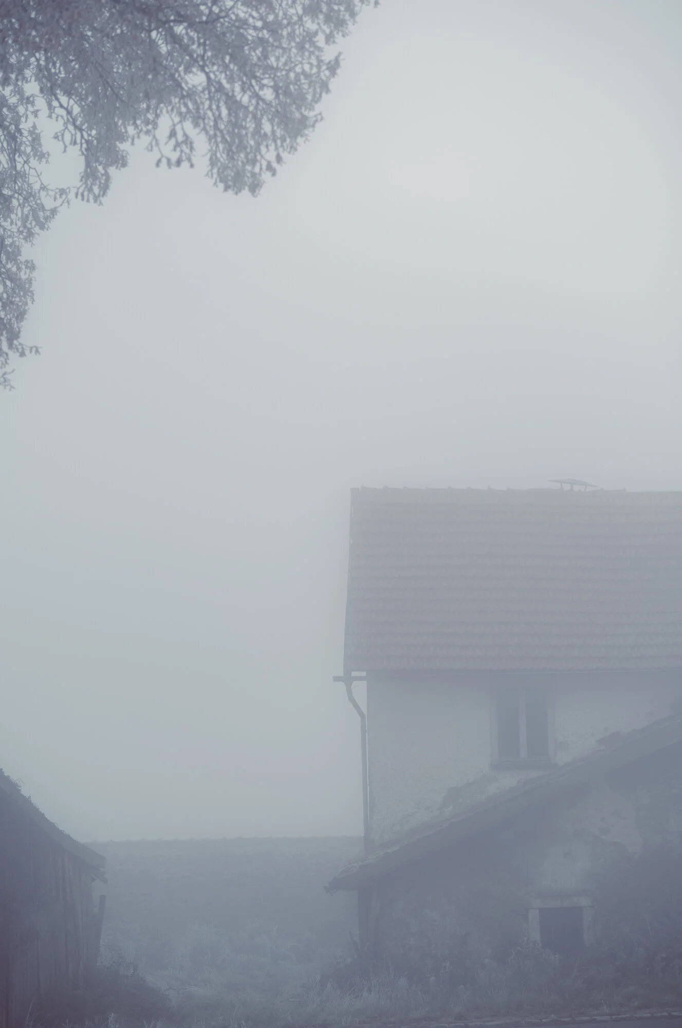 L1072511.jpg