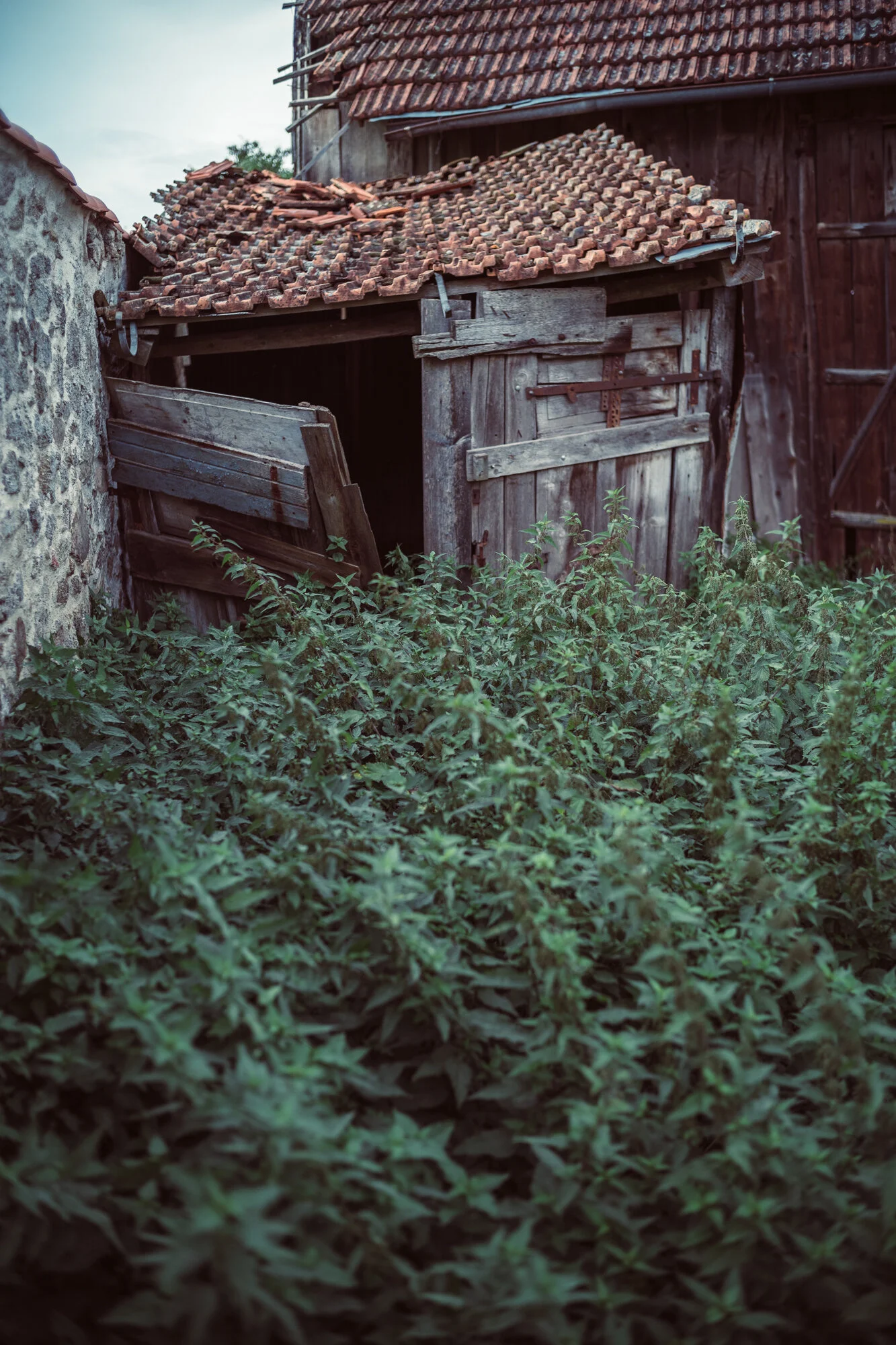 S1000813.jpg