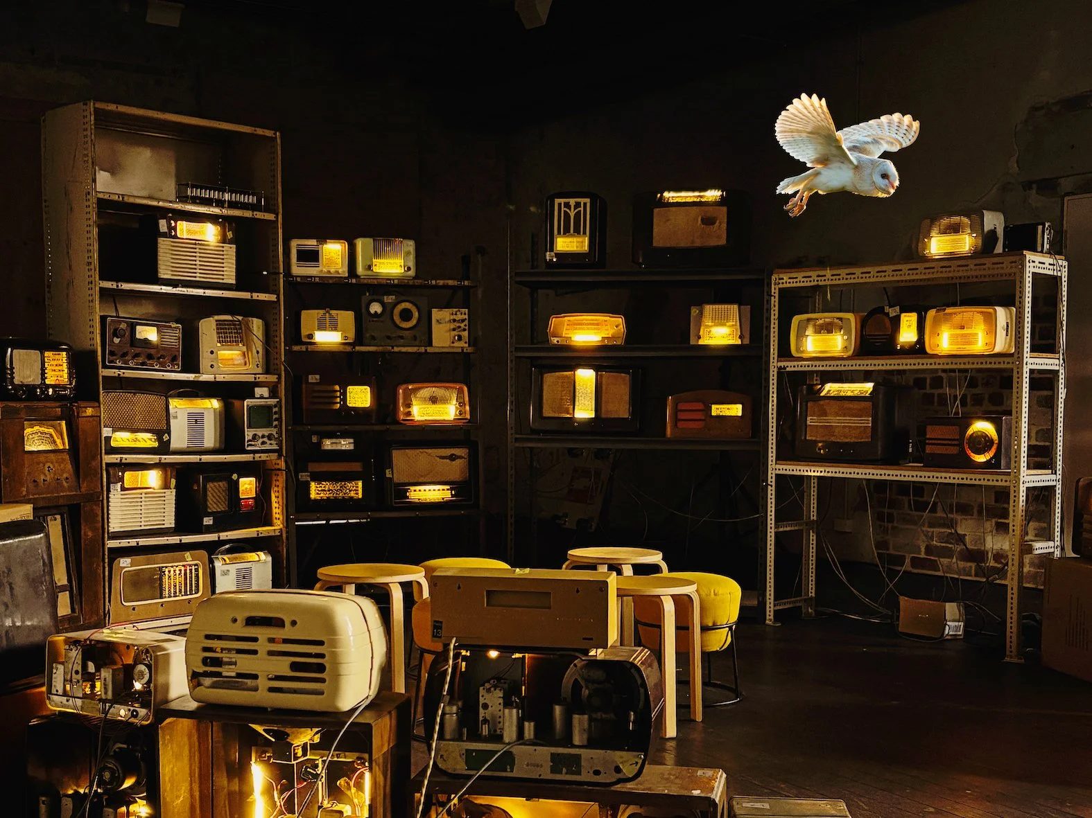 The Enormous Radio