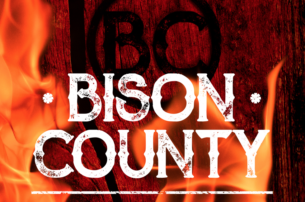 Bison County