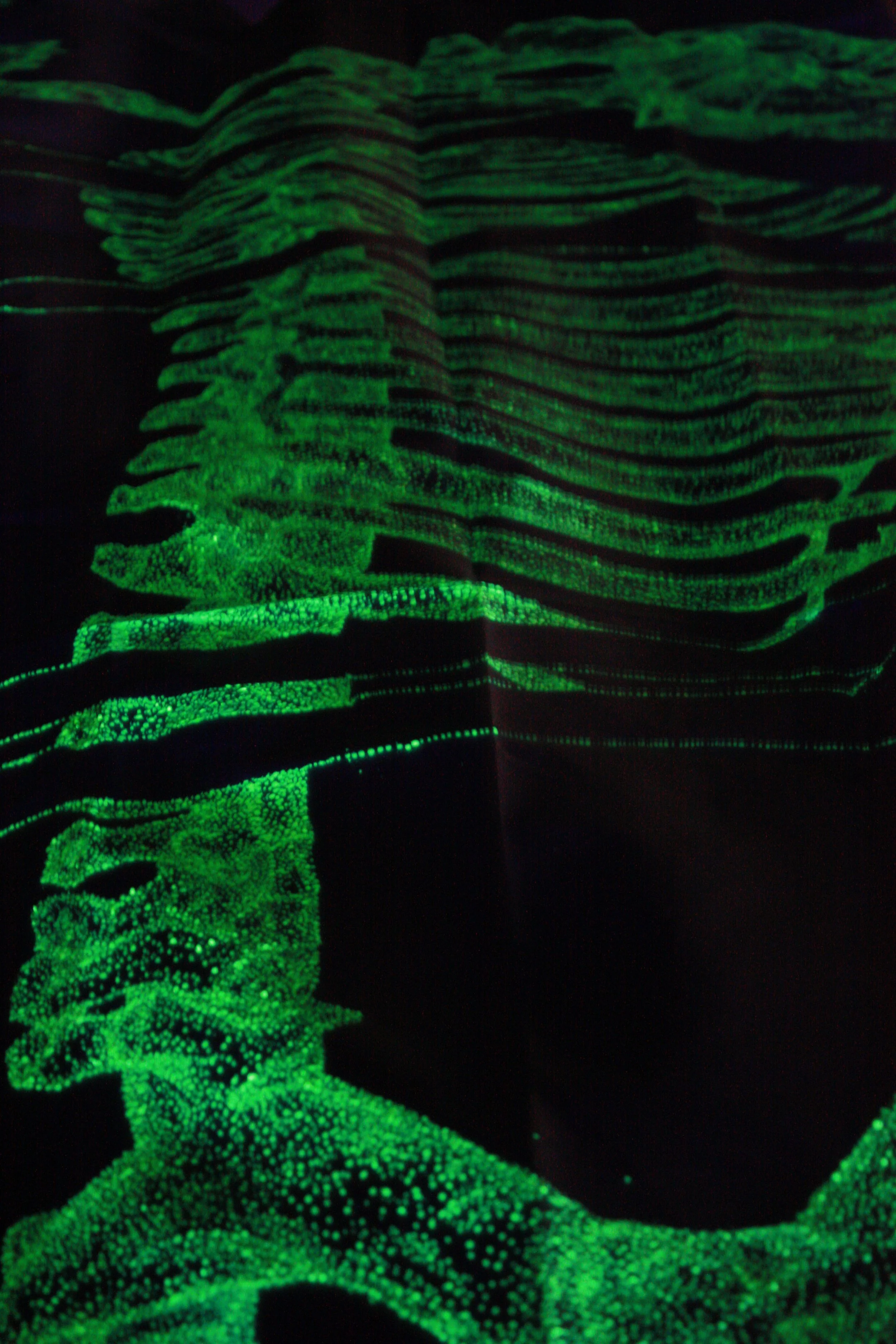 A Silent Communication: Darkness is Waiting For The Rainbow