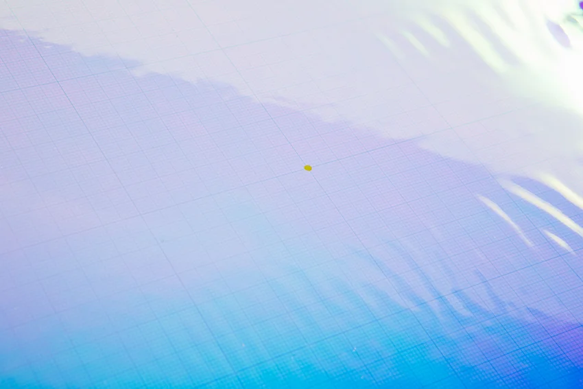 art-8846_web.jpg