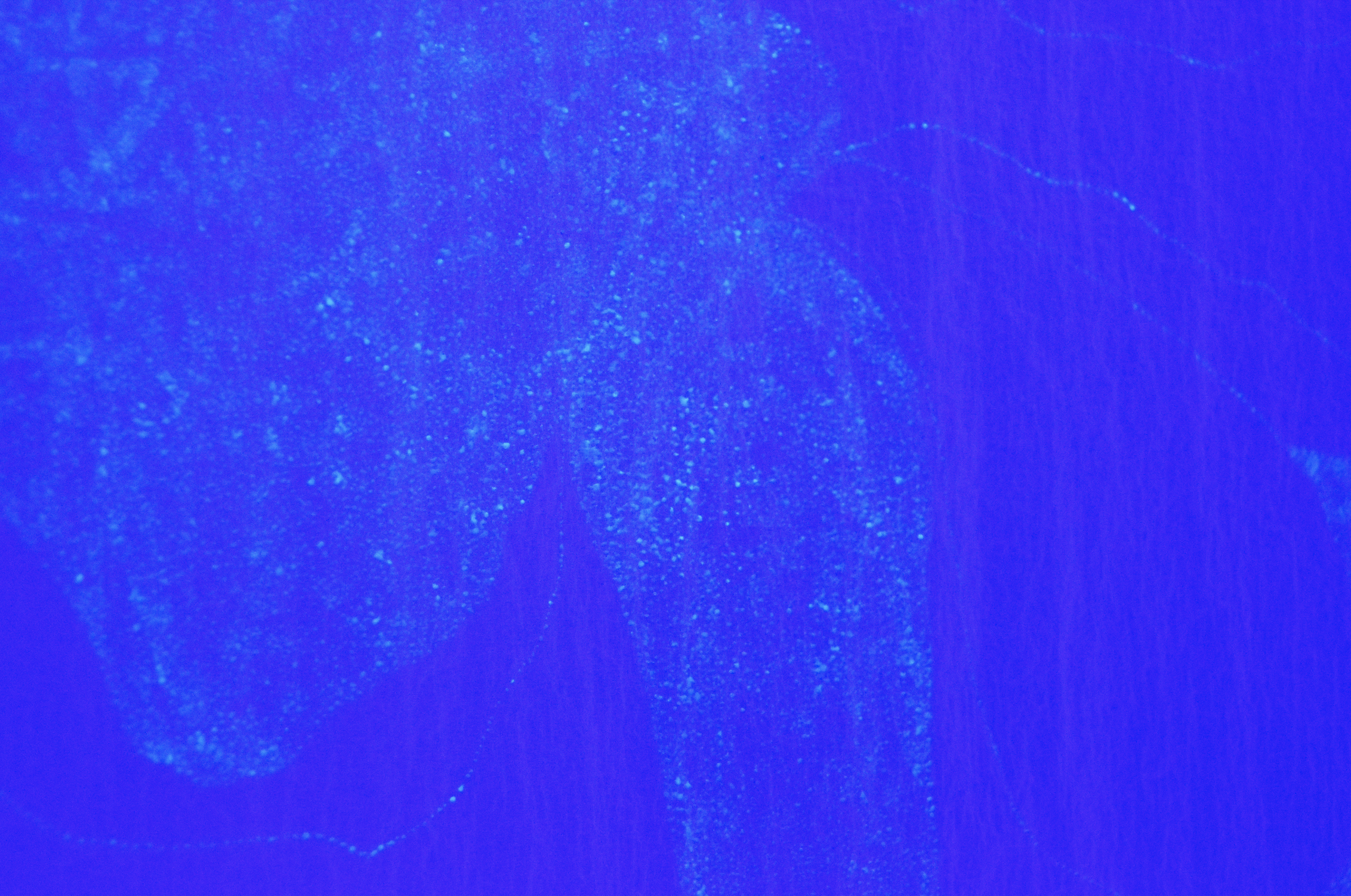 Screenshot 2026-02-11 at 22.00.09.png