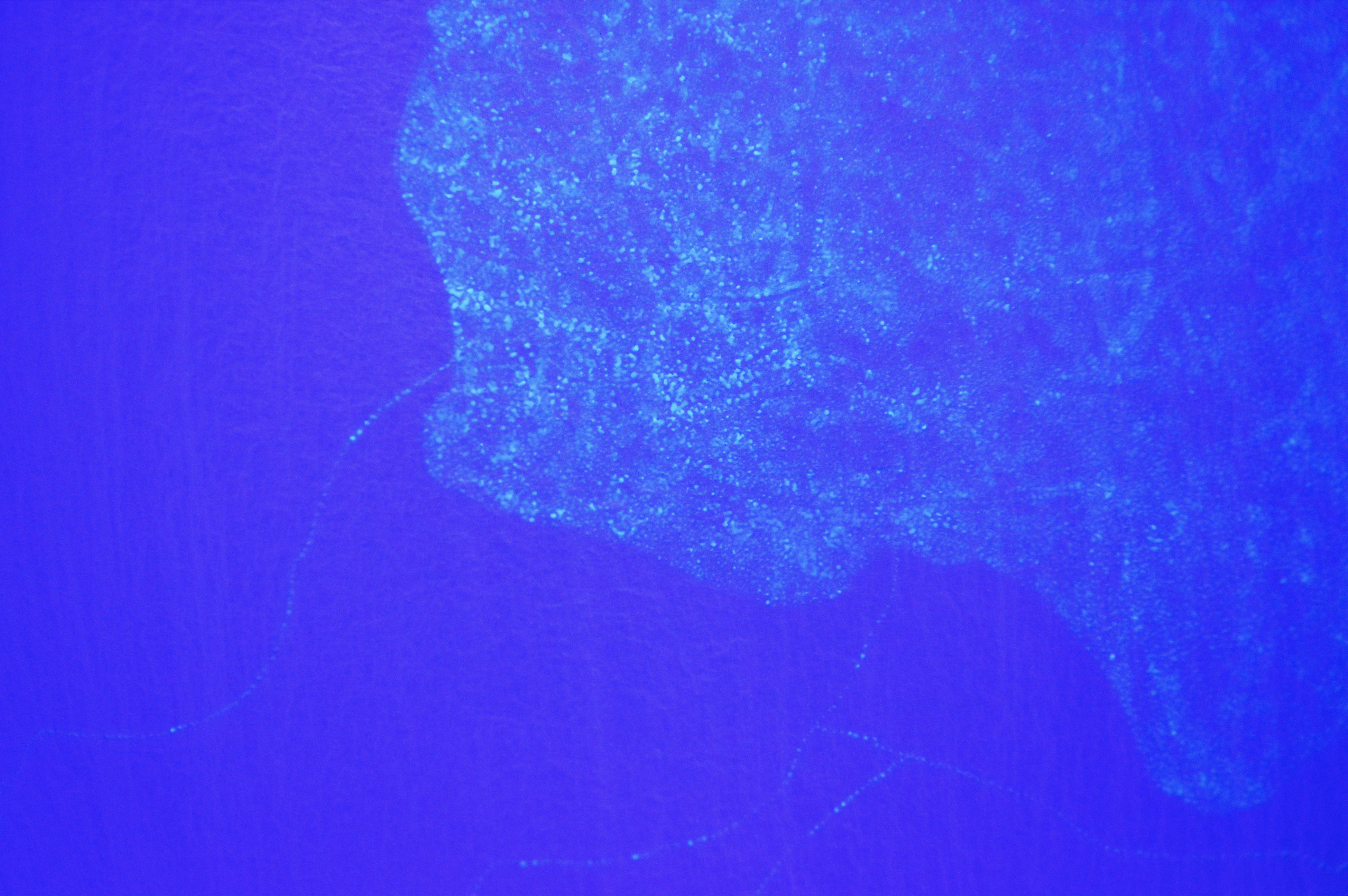 Screenshot 2026-02-11 at 22.02.33.png