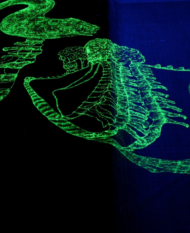 From The Architecture, We See Ourselves