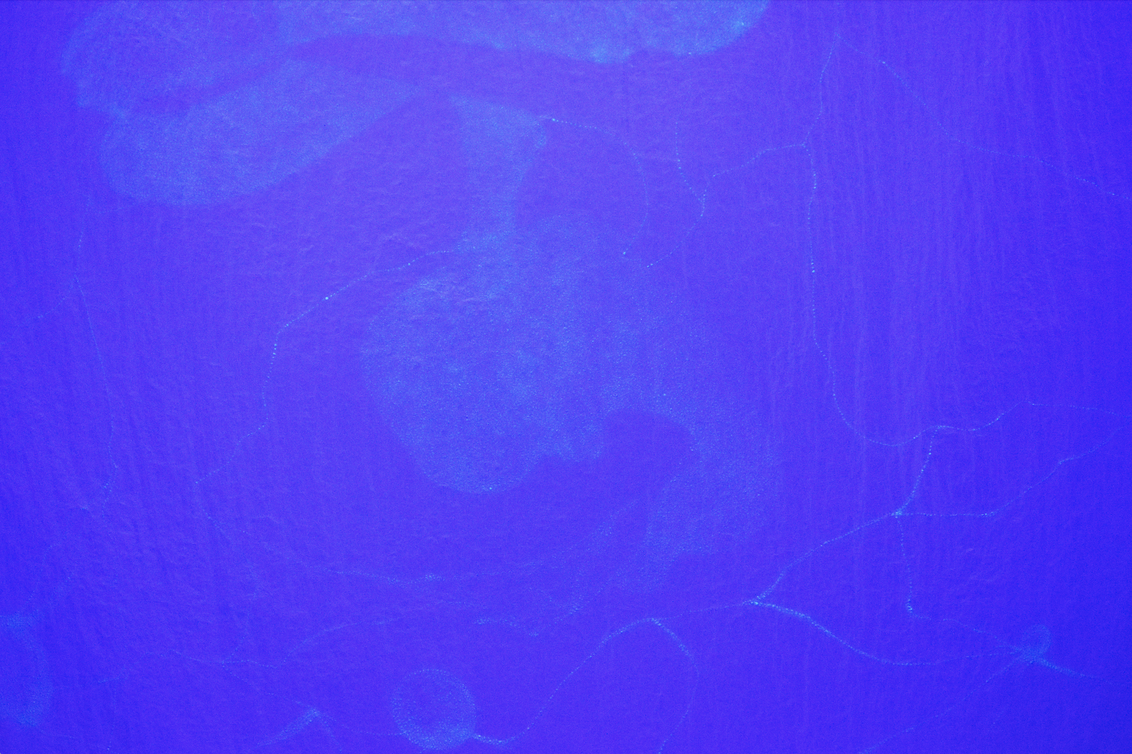 Screenshot 2026-02-11 at 22.08.20.png