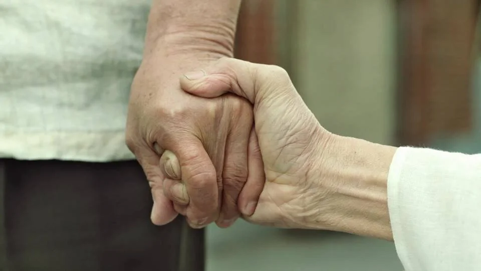 10482388_945200182163817_2467834200945962119_n (1).jpg