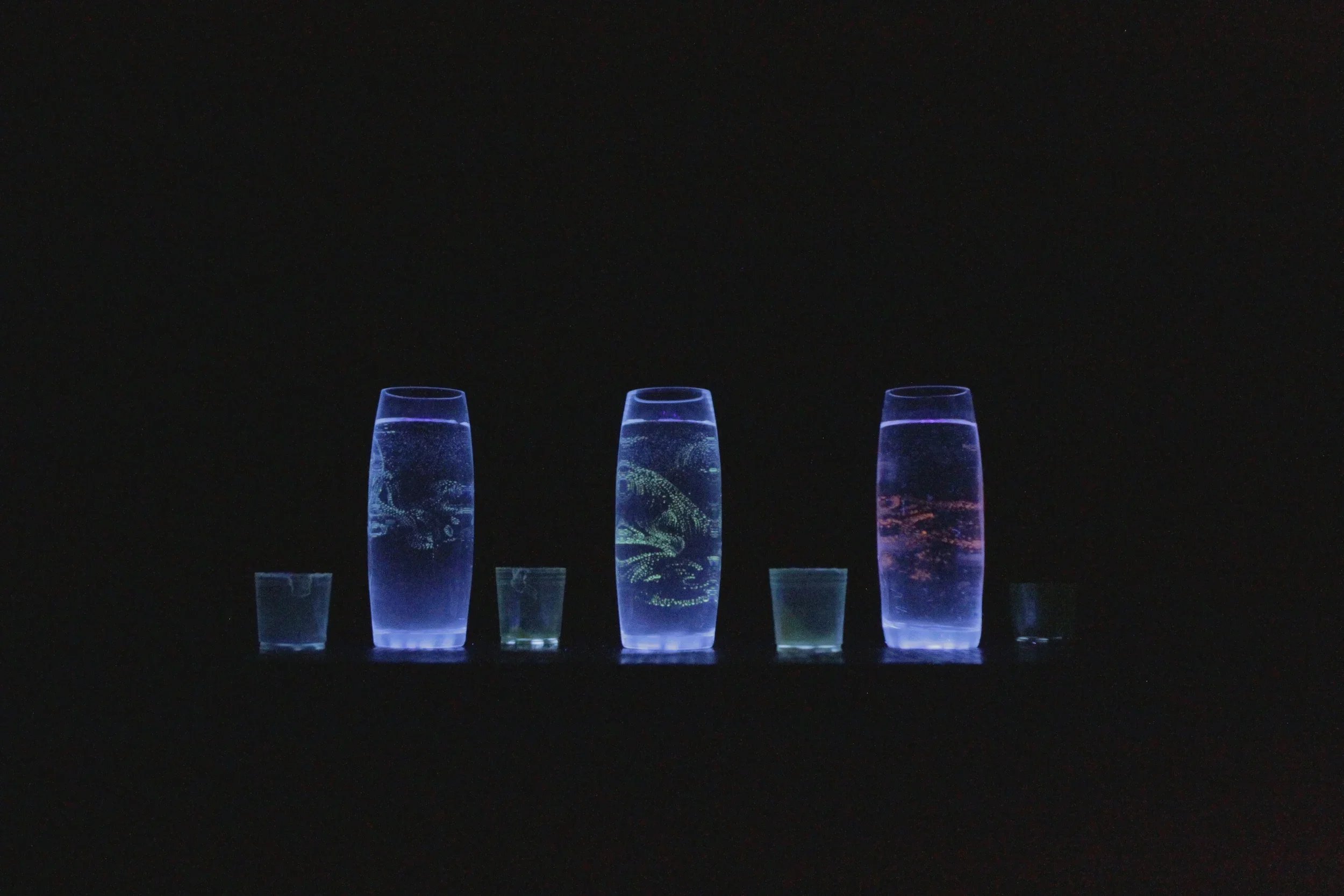 Anthropocene, 24.05-20.06.2014