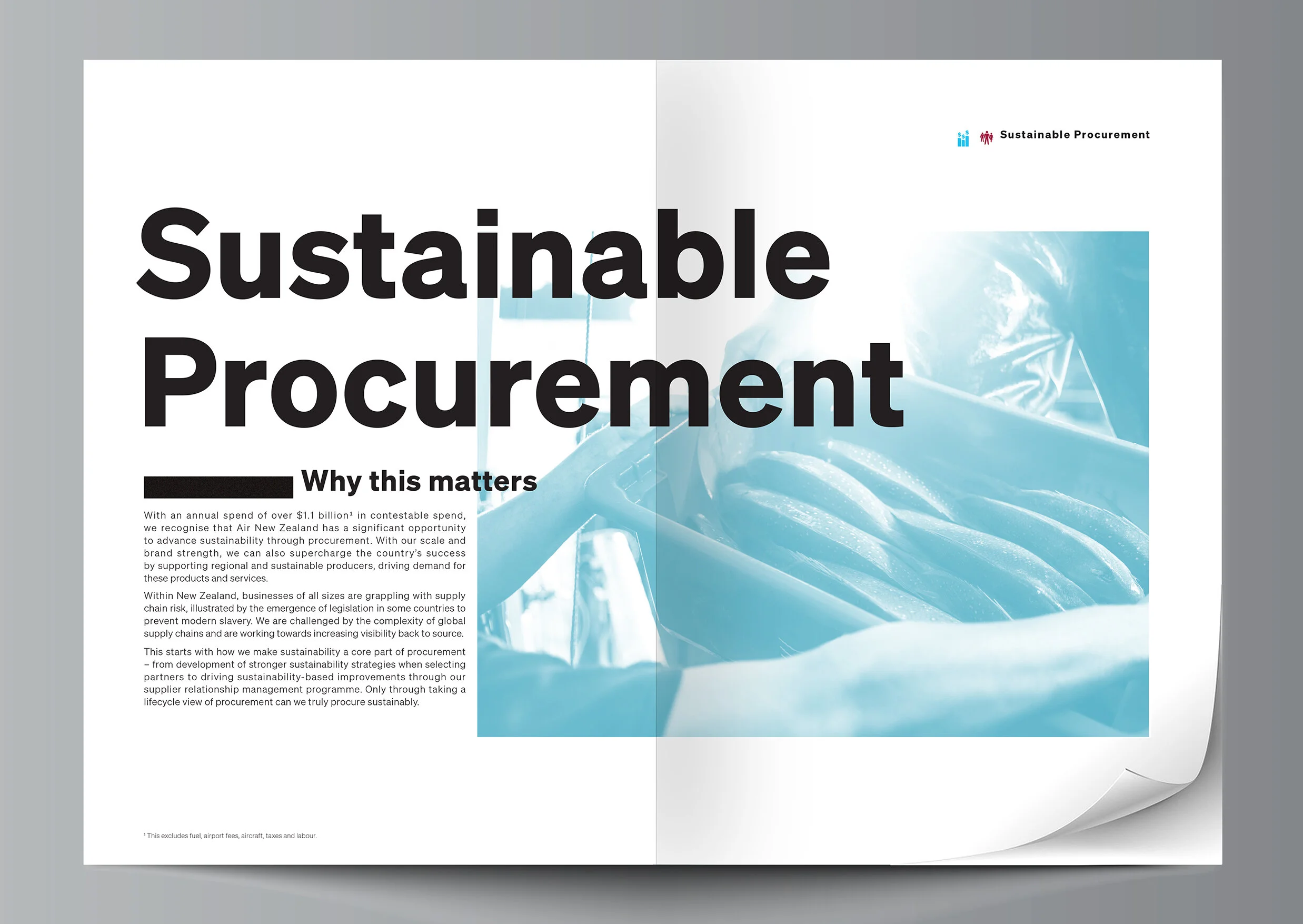 SustainabilityReport_2,475×1,755px_1.jpg