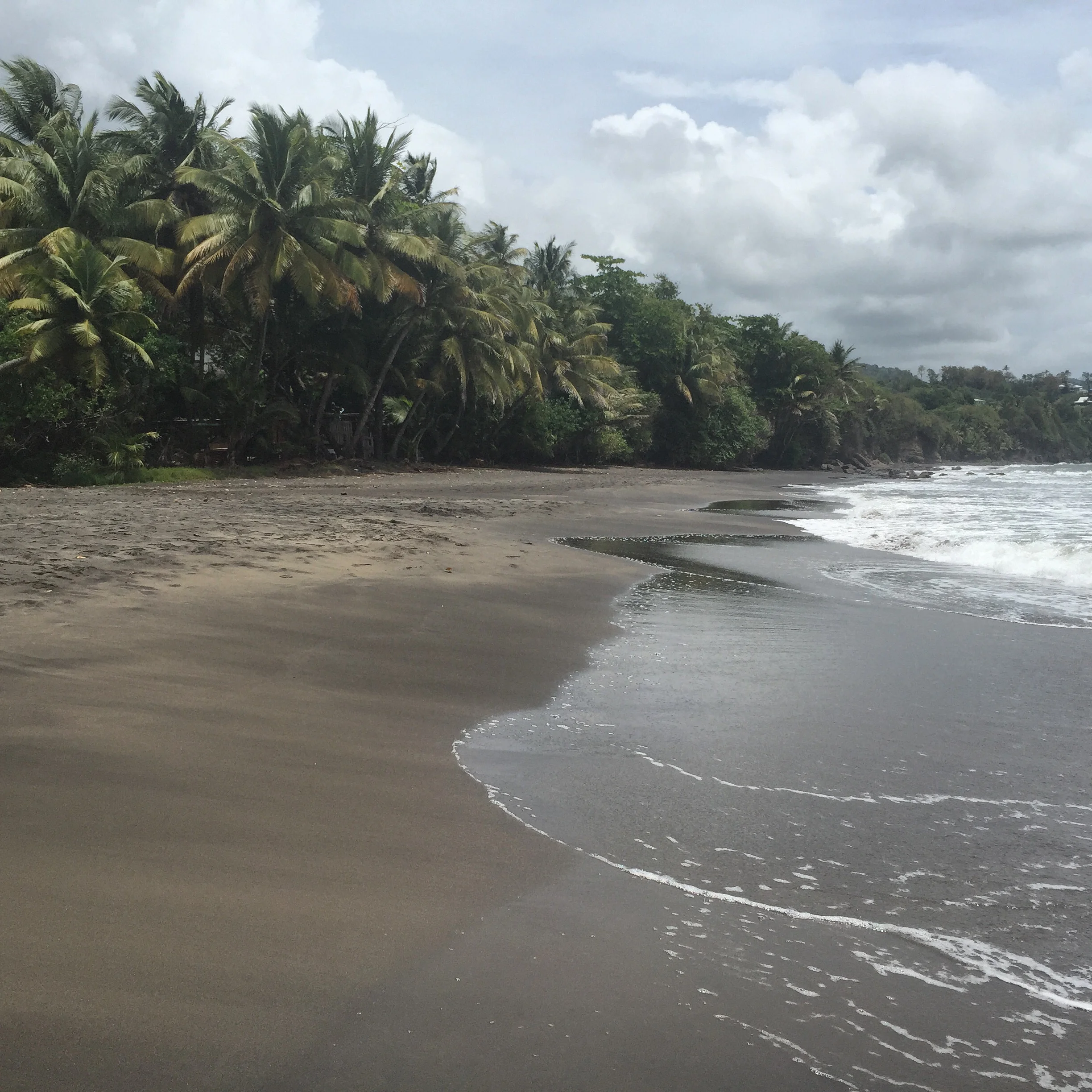 This Virtually Deserted Black Sand Beach On Basse Terres