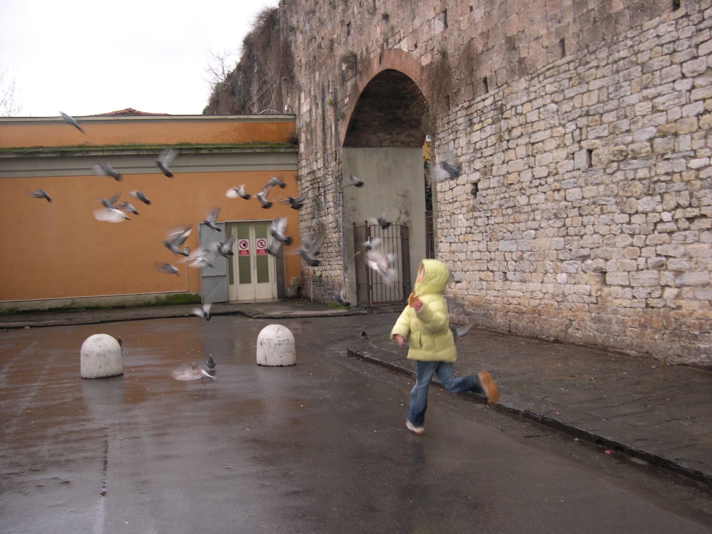 Not quite a toddler now but free bird chasing still on the list of entertainment!
