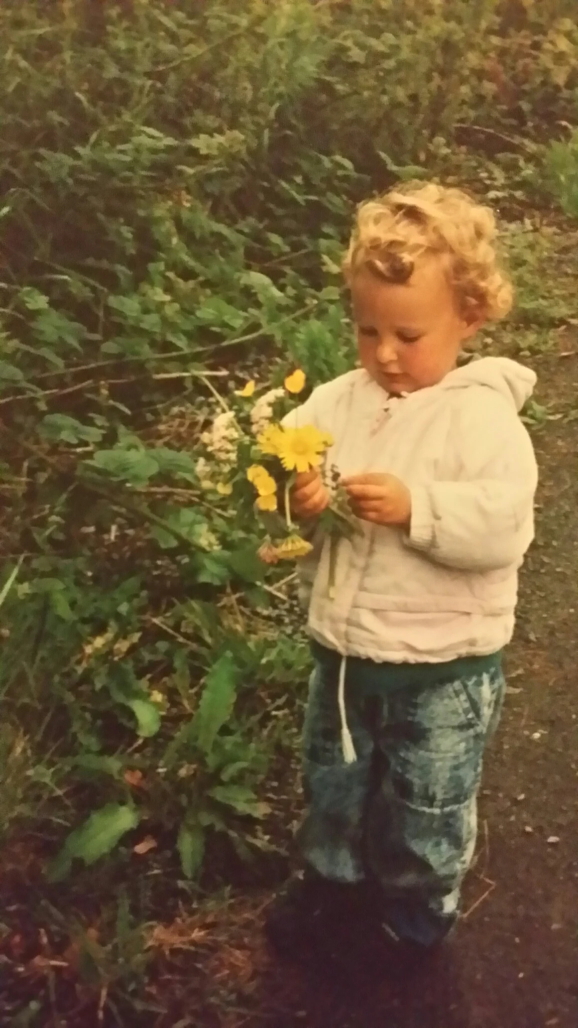 Picking lane-side flowers in Ireland - easy entertainment