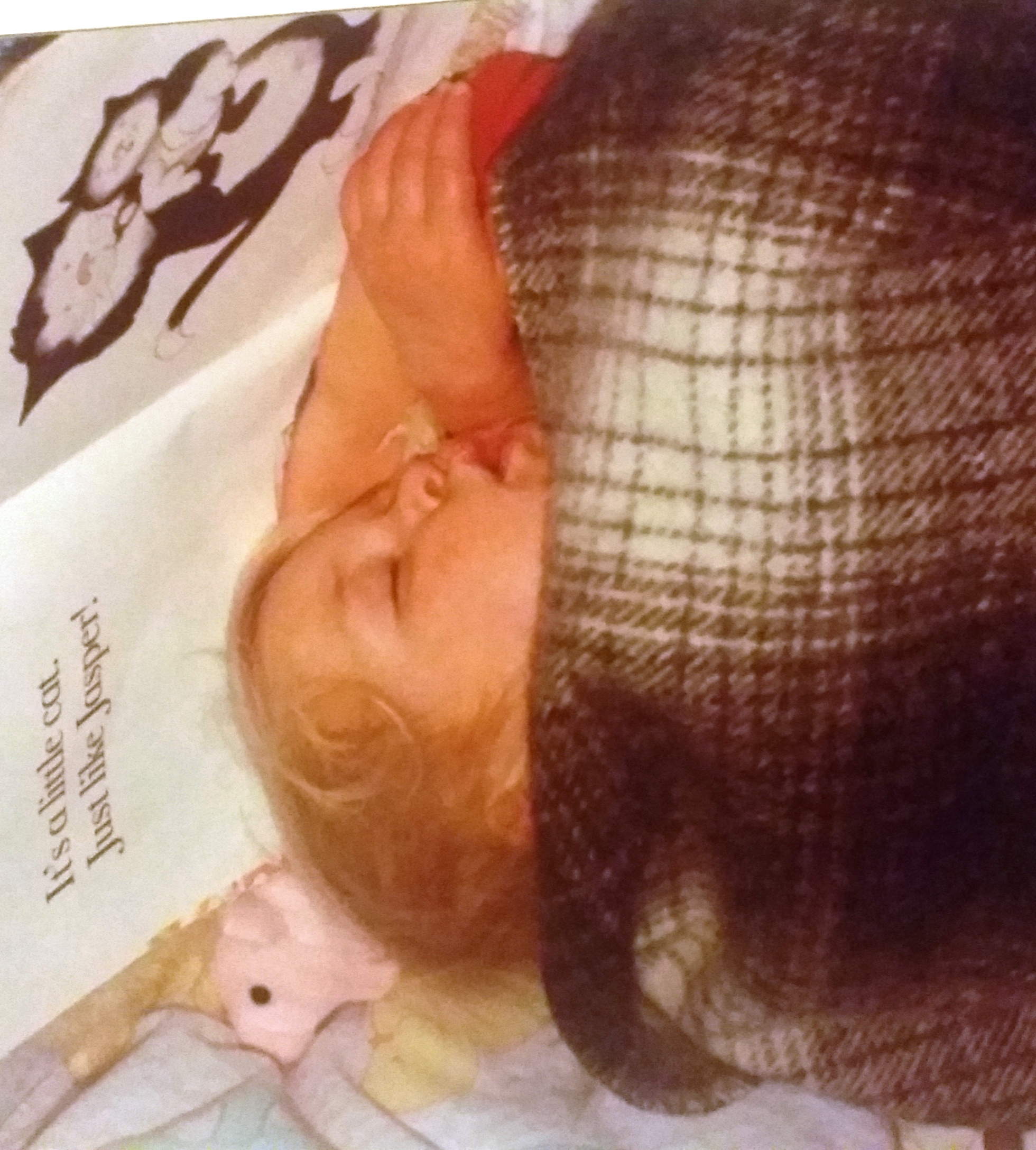Bulkhead bassinet, new book and toy = short term bliss