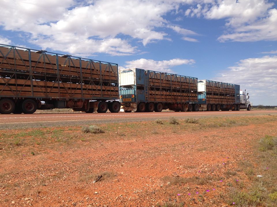 ROAD TRAIN, Northern Territory, Australai