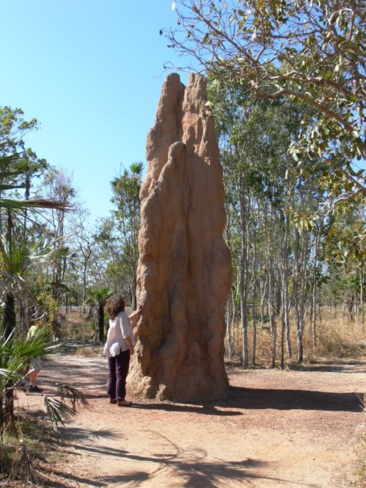 TERMITE MOUND, Northern Territory, Australia