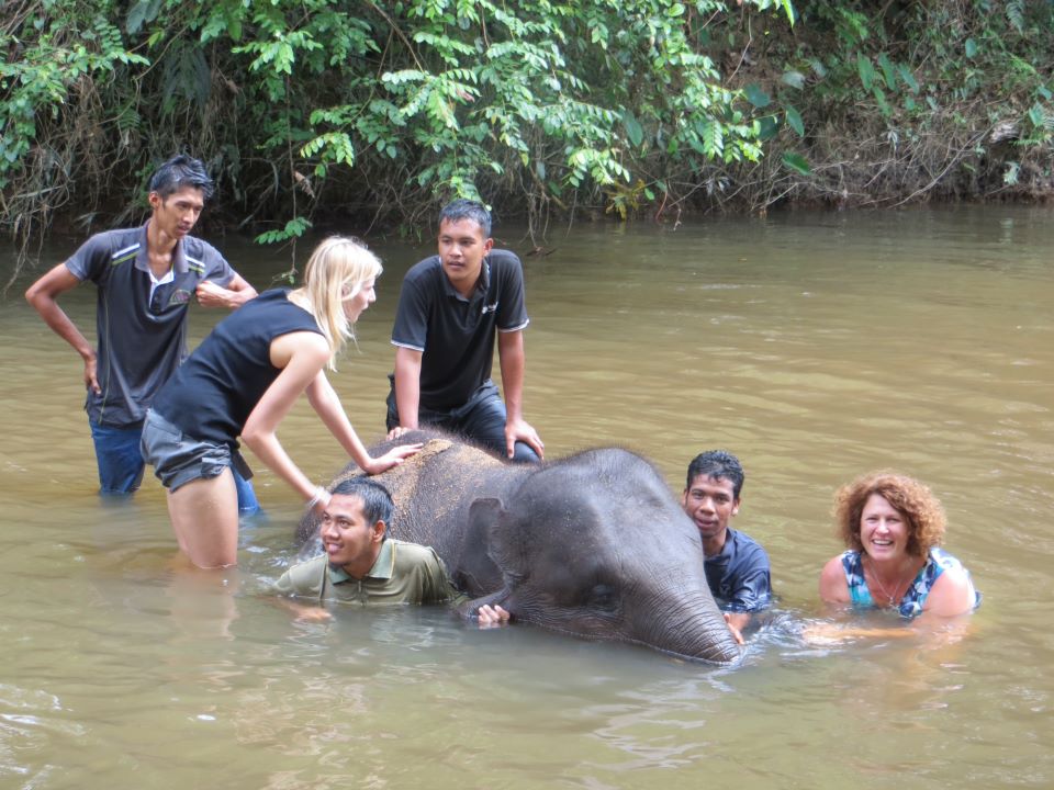 Downtime activities during dentistry in Kuala Lumpur