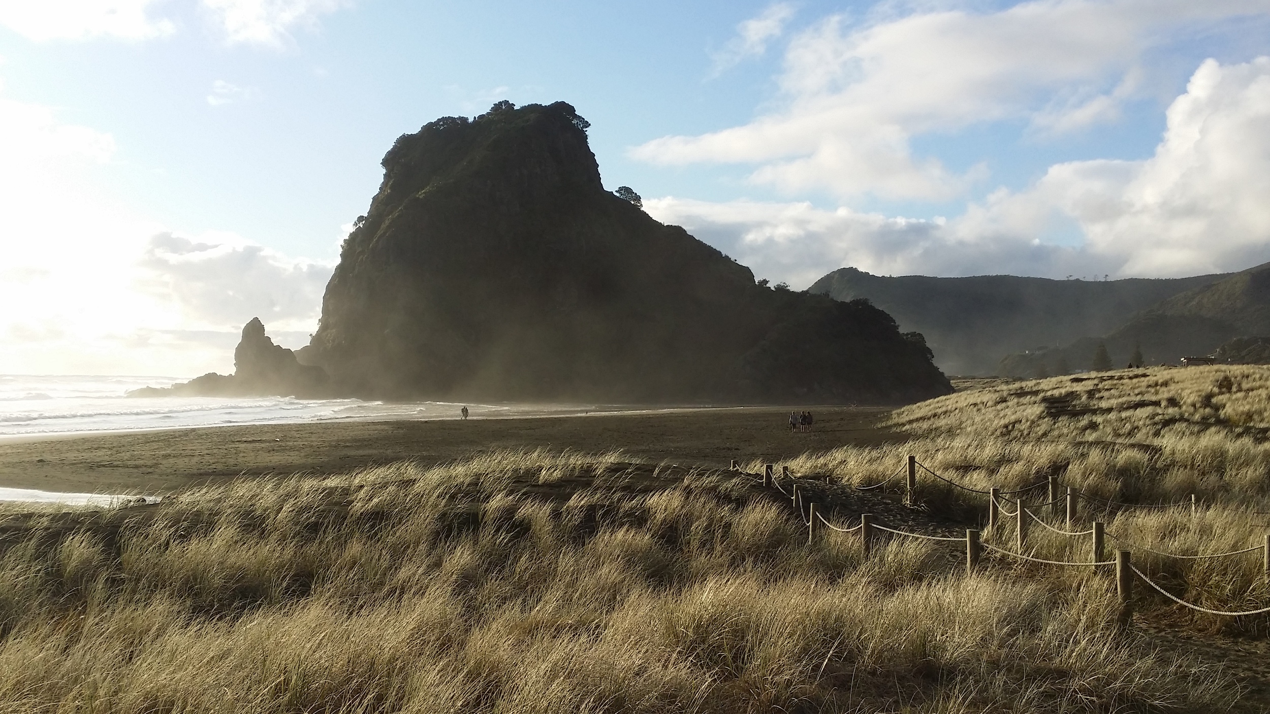 Lion Rock, Piha Beach, Auckland, New Zealand