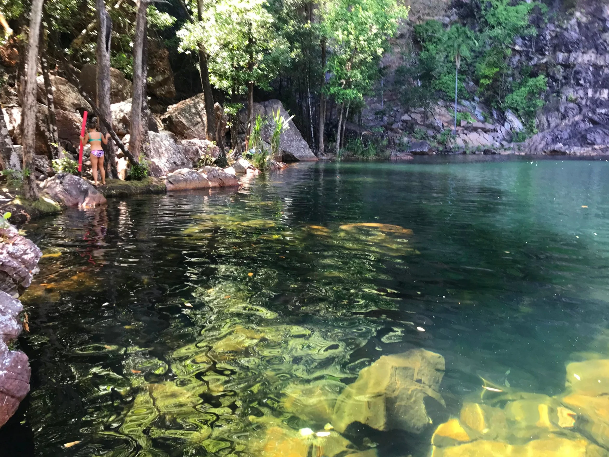 Tjaynera Falls swimming hole