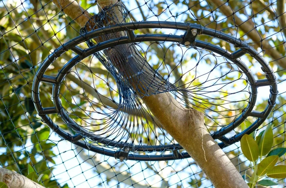 Taronga Zoo STA 15.JPG