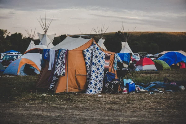 DAPL_8.jpg