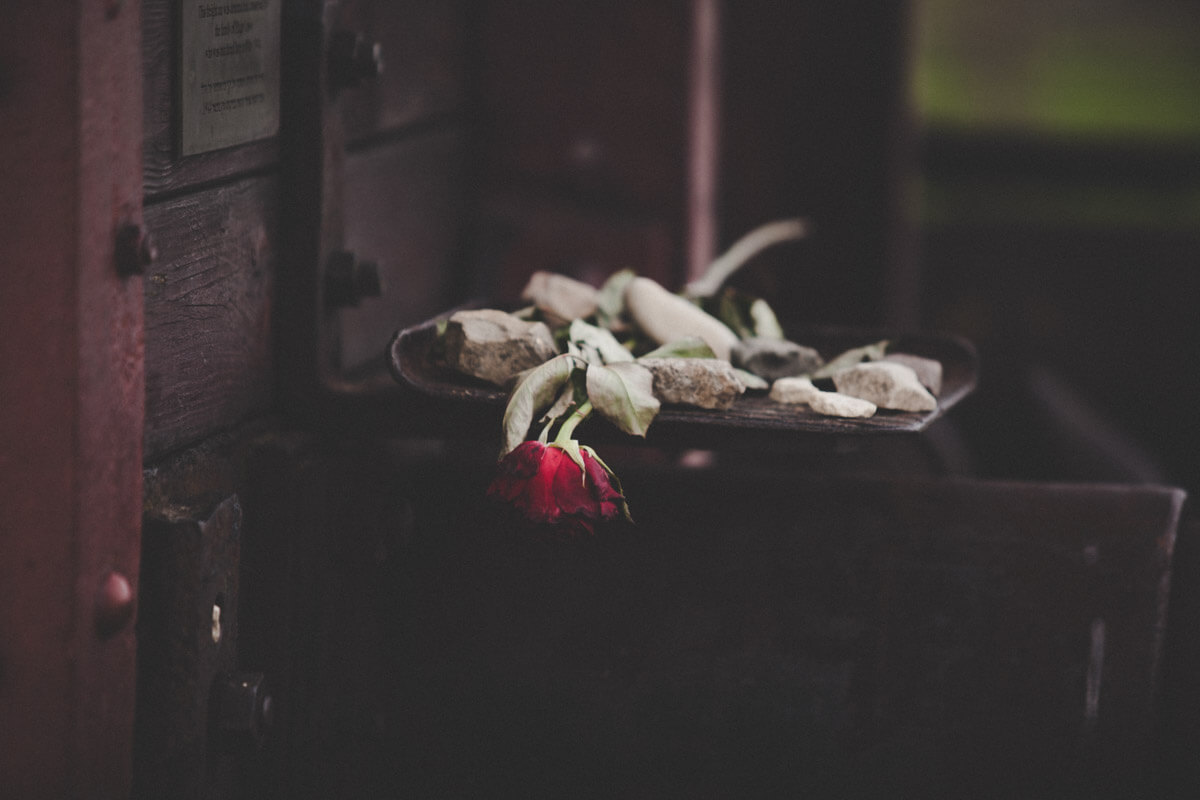 2016_Birkenauflowers.jpg