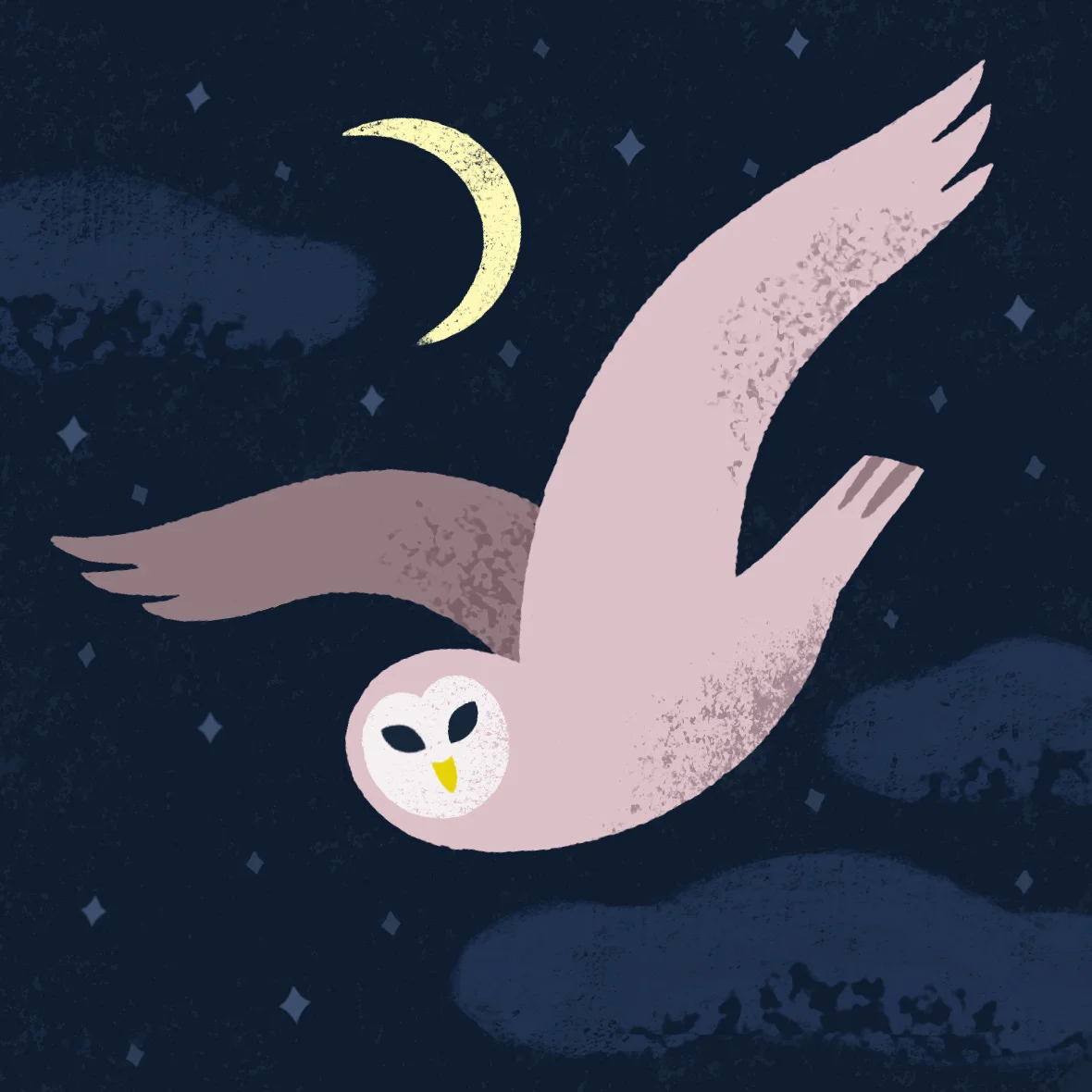 Owl.jpg