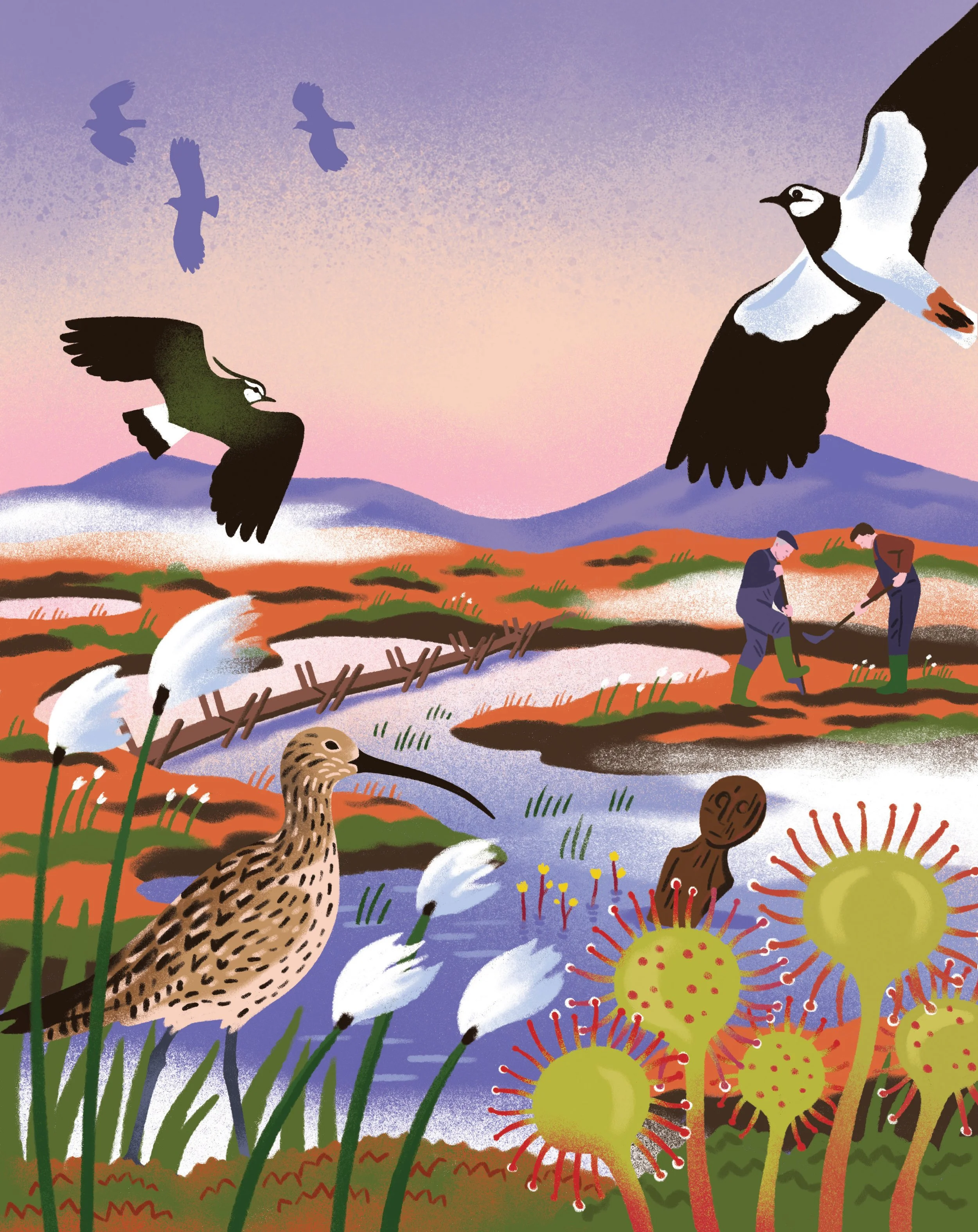 Simple Things - Bogs