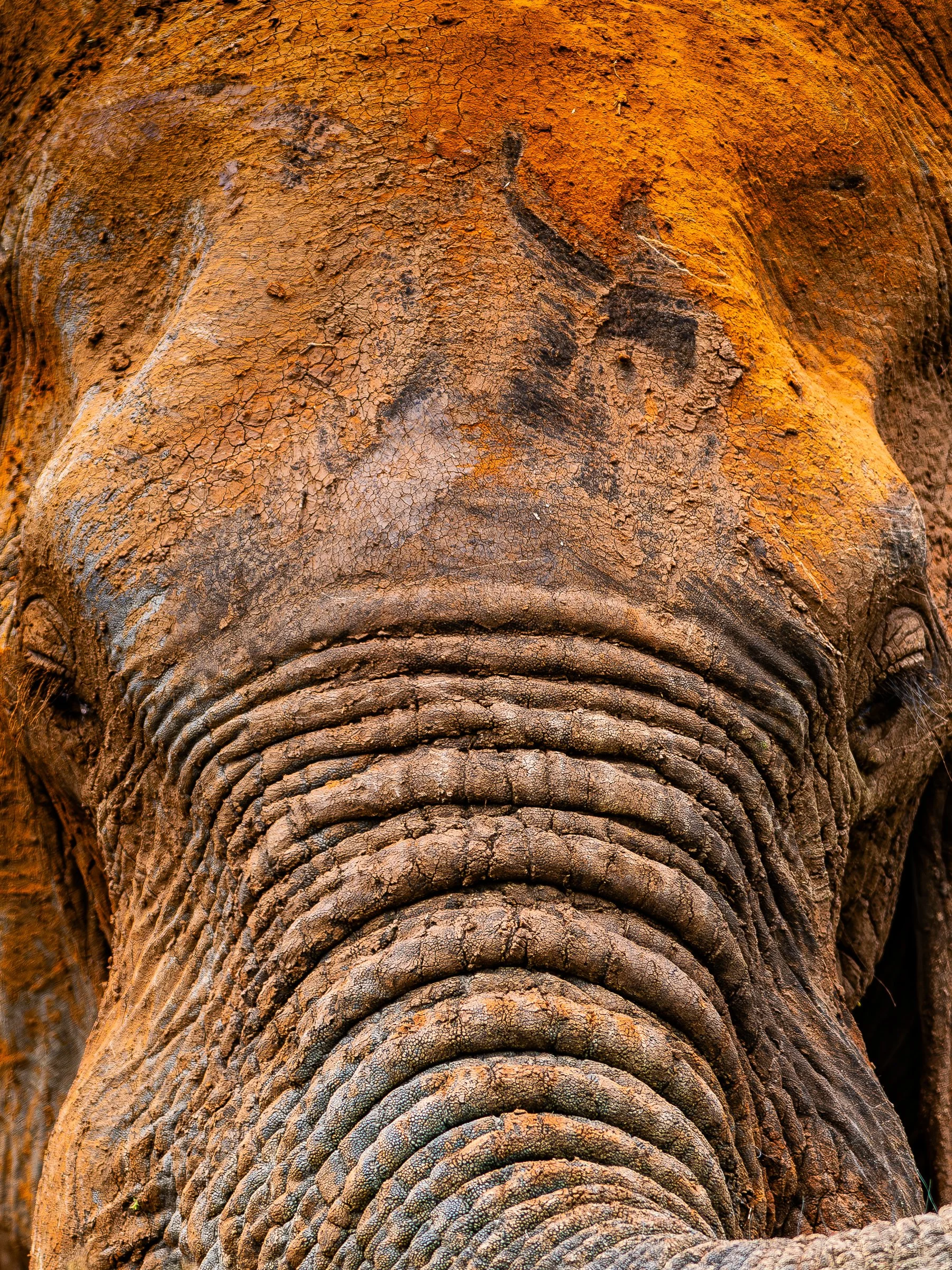 DSC_3430 MAIN-Enhanced-NR.jpg