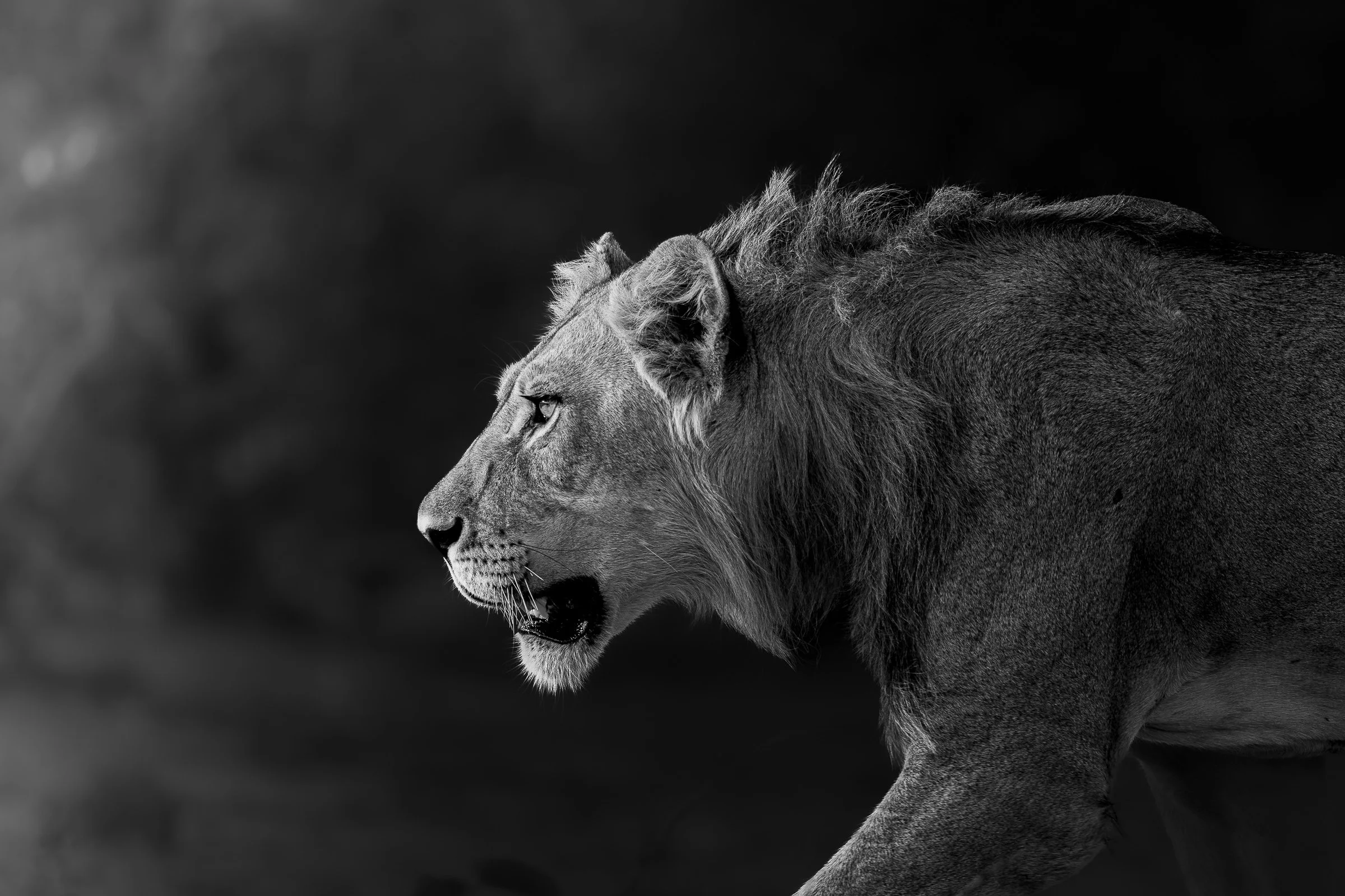 2016-01-03-18-15-15_Savuti, Botswana-Enhanced-NR.jpg