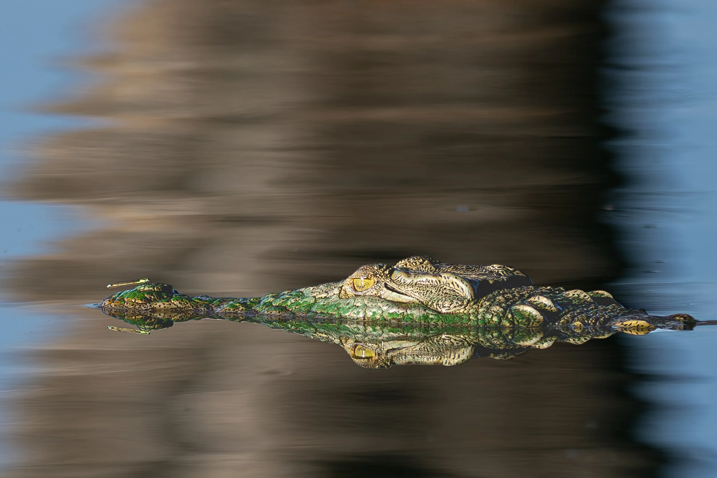 2023 Kruger_20230128_0636365353_23410.jpg