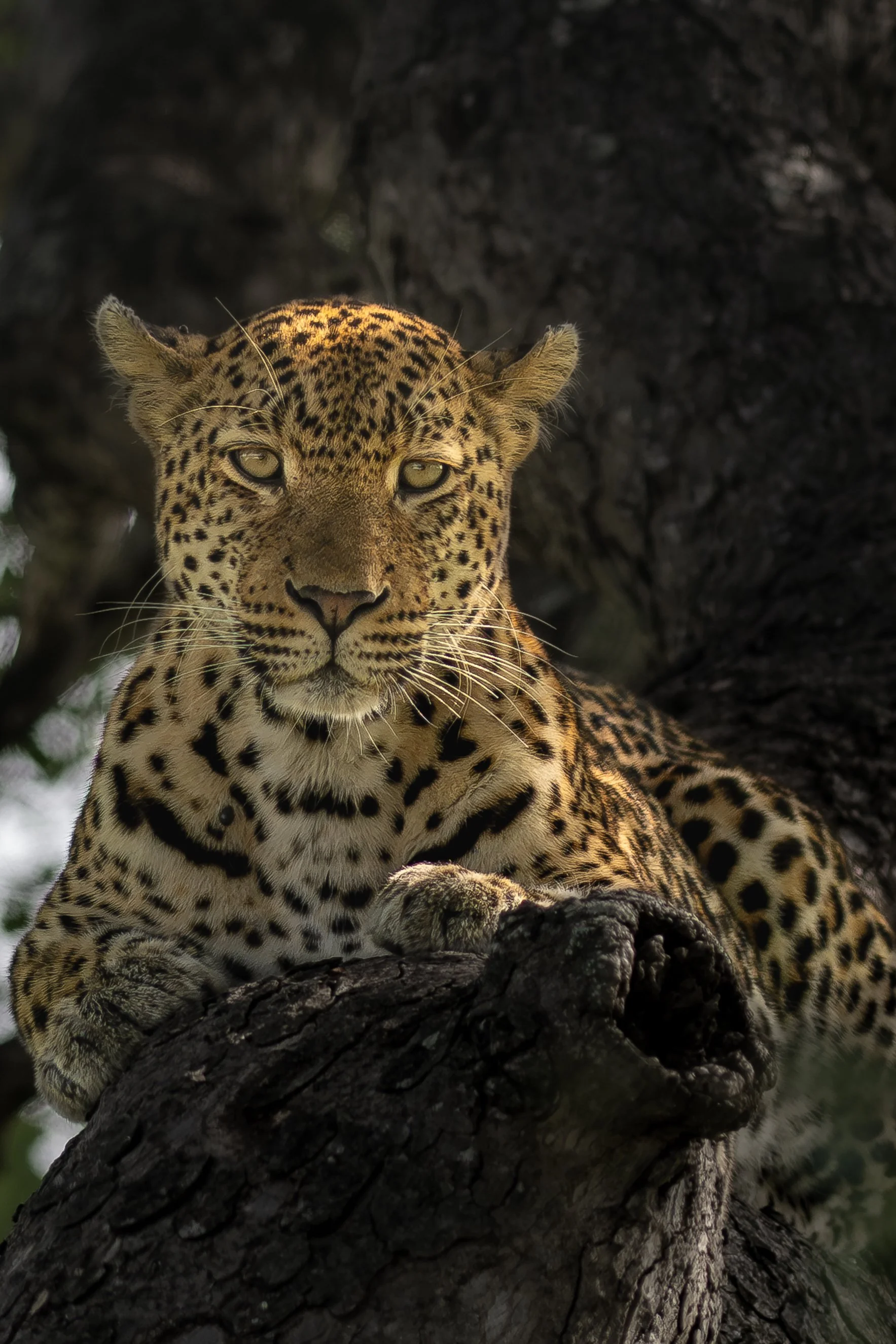 2023 Kruger_20230222_0817172525_25985.jpg