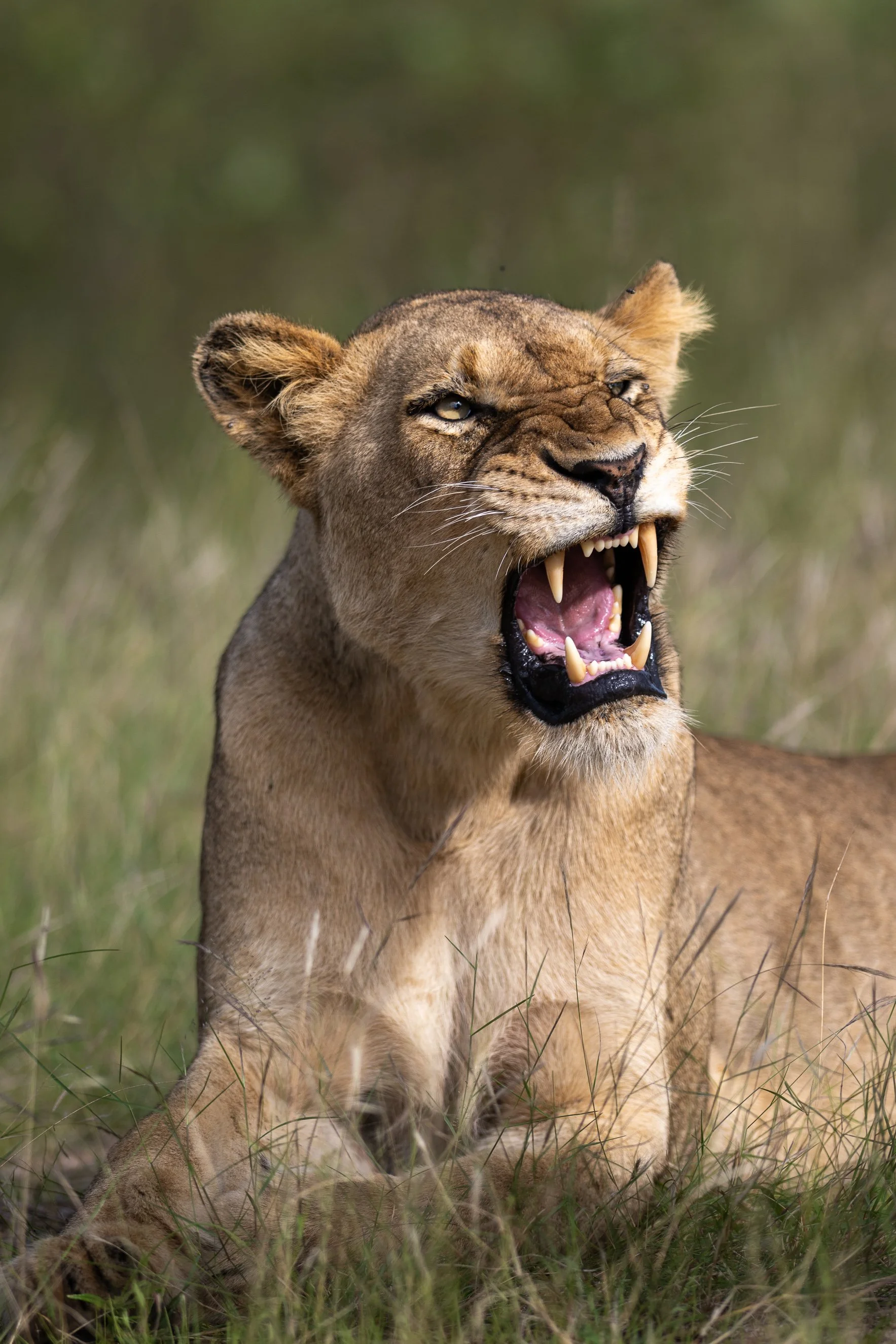 2023 Kruger_20230223_0801011919_26012.jpg