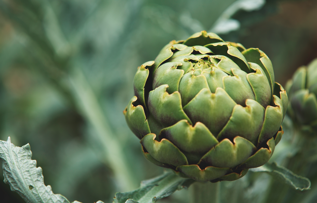 How to Ensure a Healthy Transition with the Change of Season — Purusha