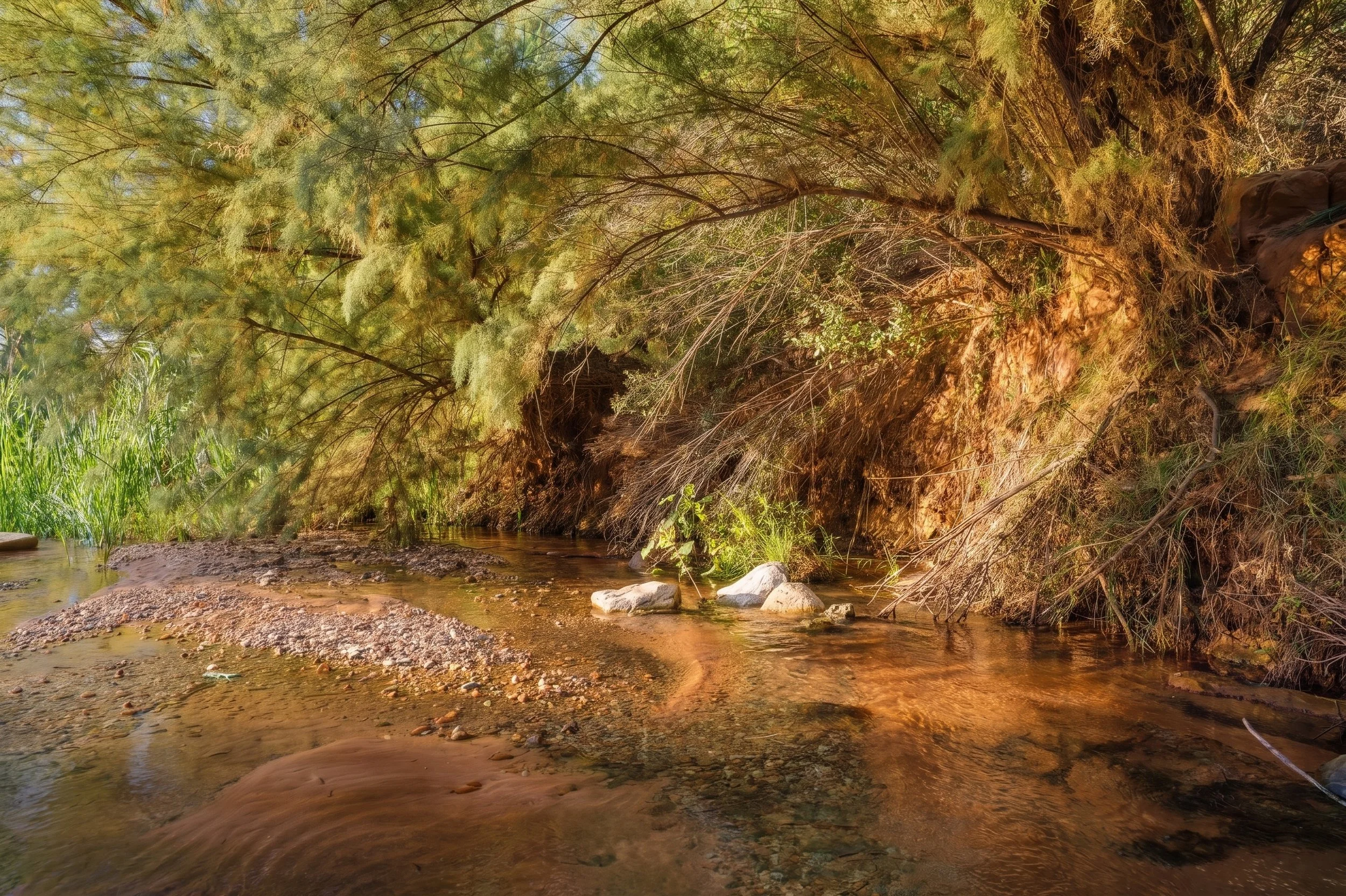 Panchakarma_Retreat_Creek.jpg