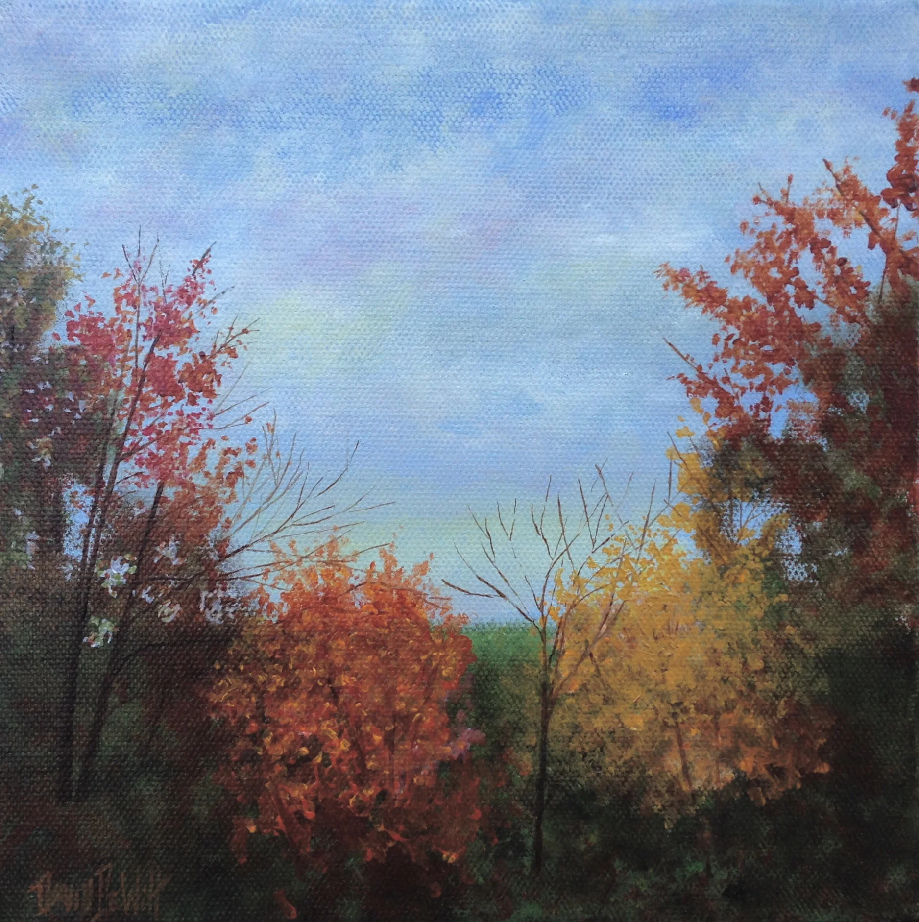 Autumn Sky Closeup.JPG