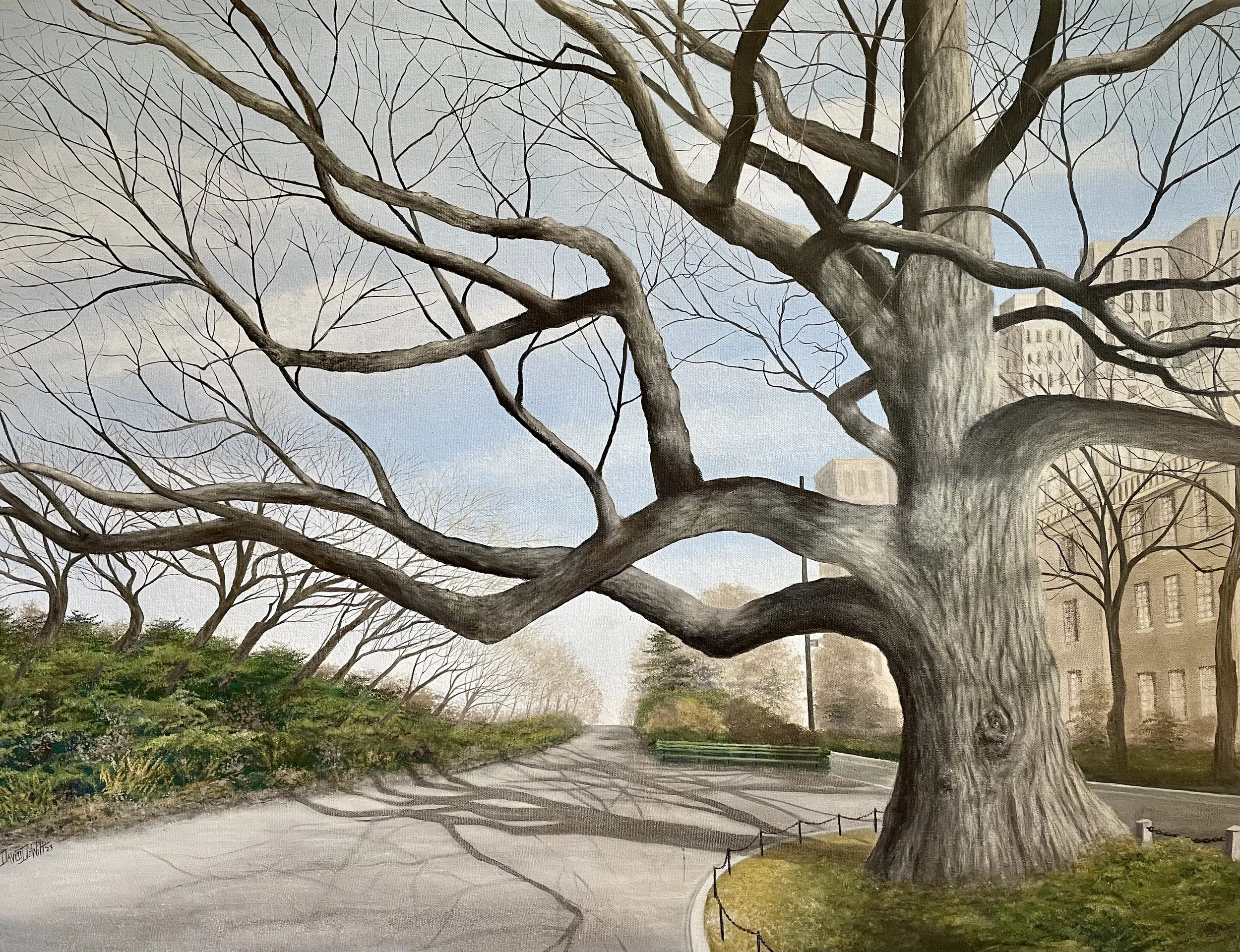 Central Park.jpeg